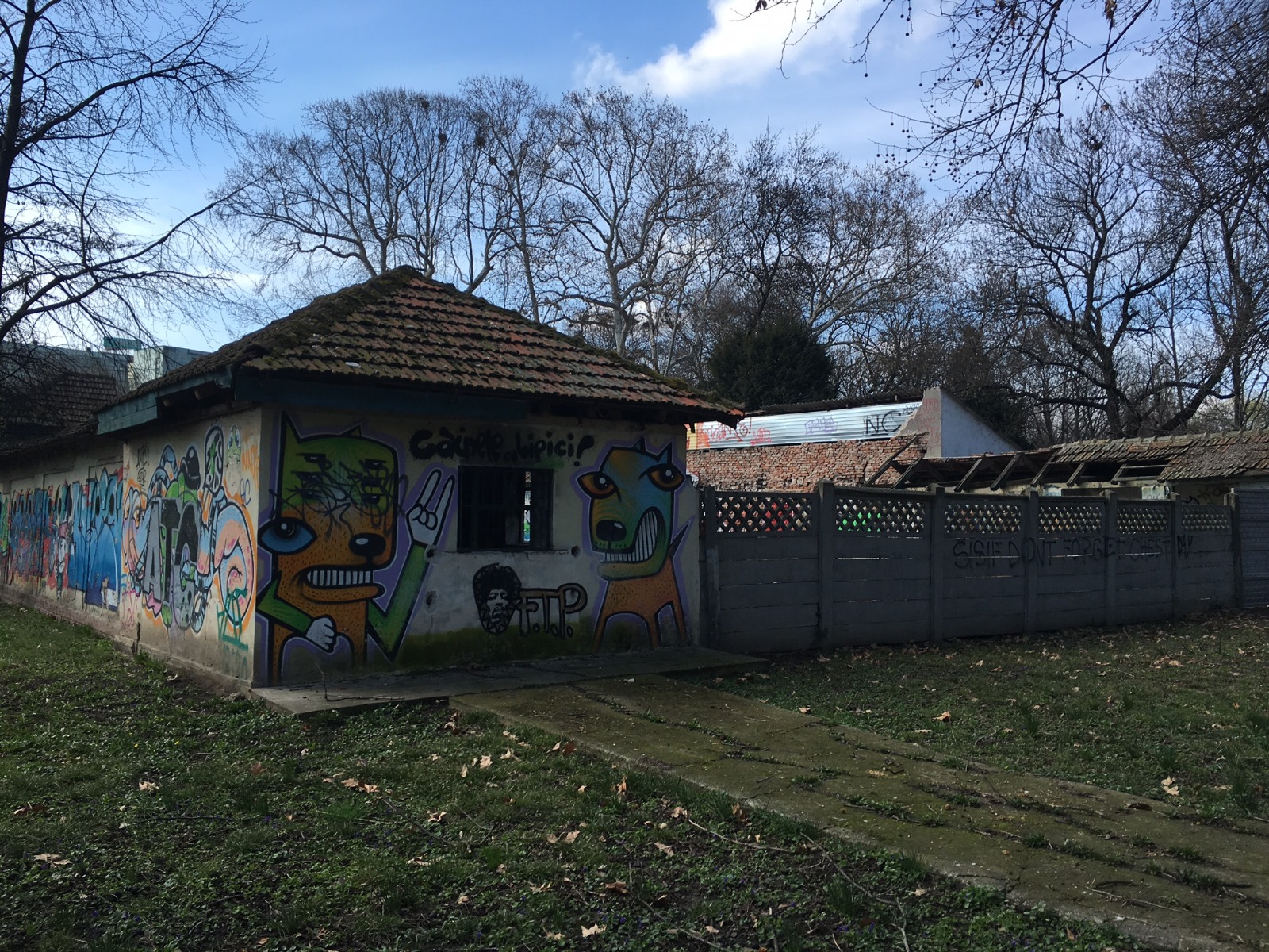 FOTO/ Cel mai important centru de natație al Timișoarei a murit din nepăsare. Ajunsă o ruină, fosta bază sportivă Uszoda este un focar de infecție