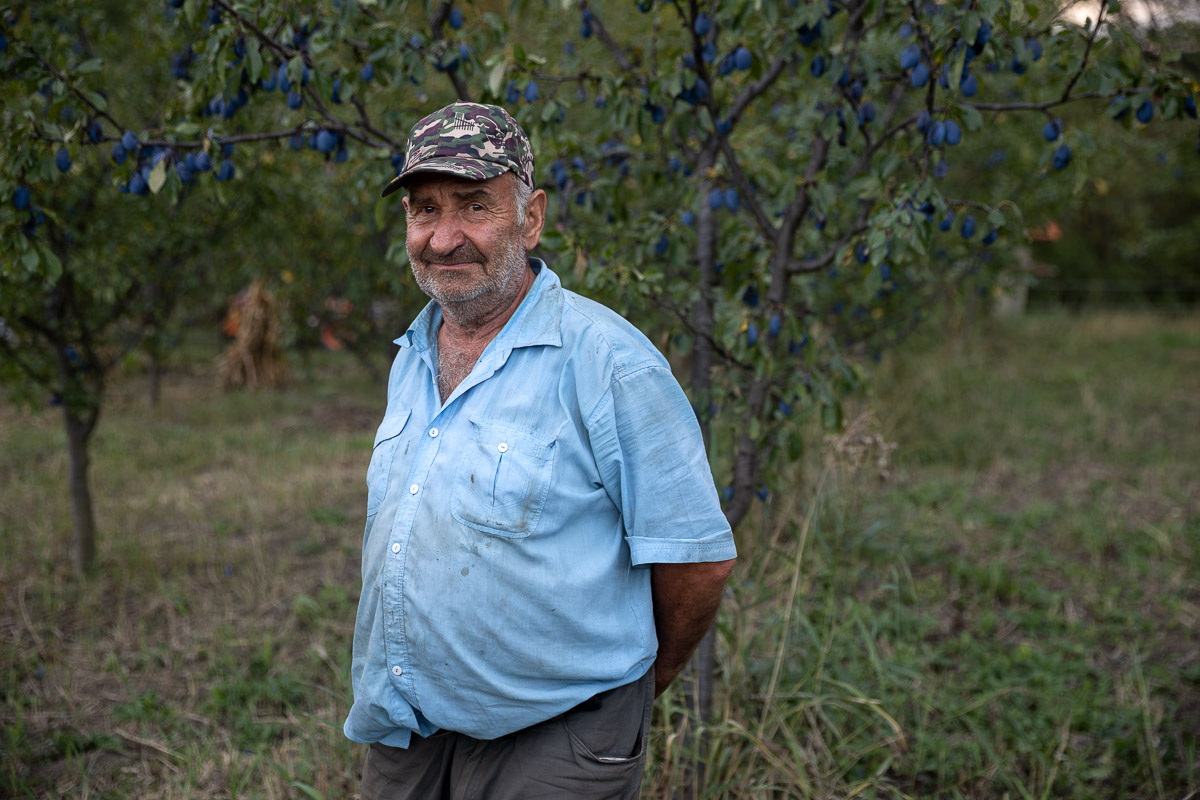 Unde se duc prunele din Coca-Antimirești, Buzău, când se coc: „La porci. Cerbii mănâncă de trosnesc. Vin urșii, mistreții. N-avem unde vinde”