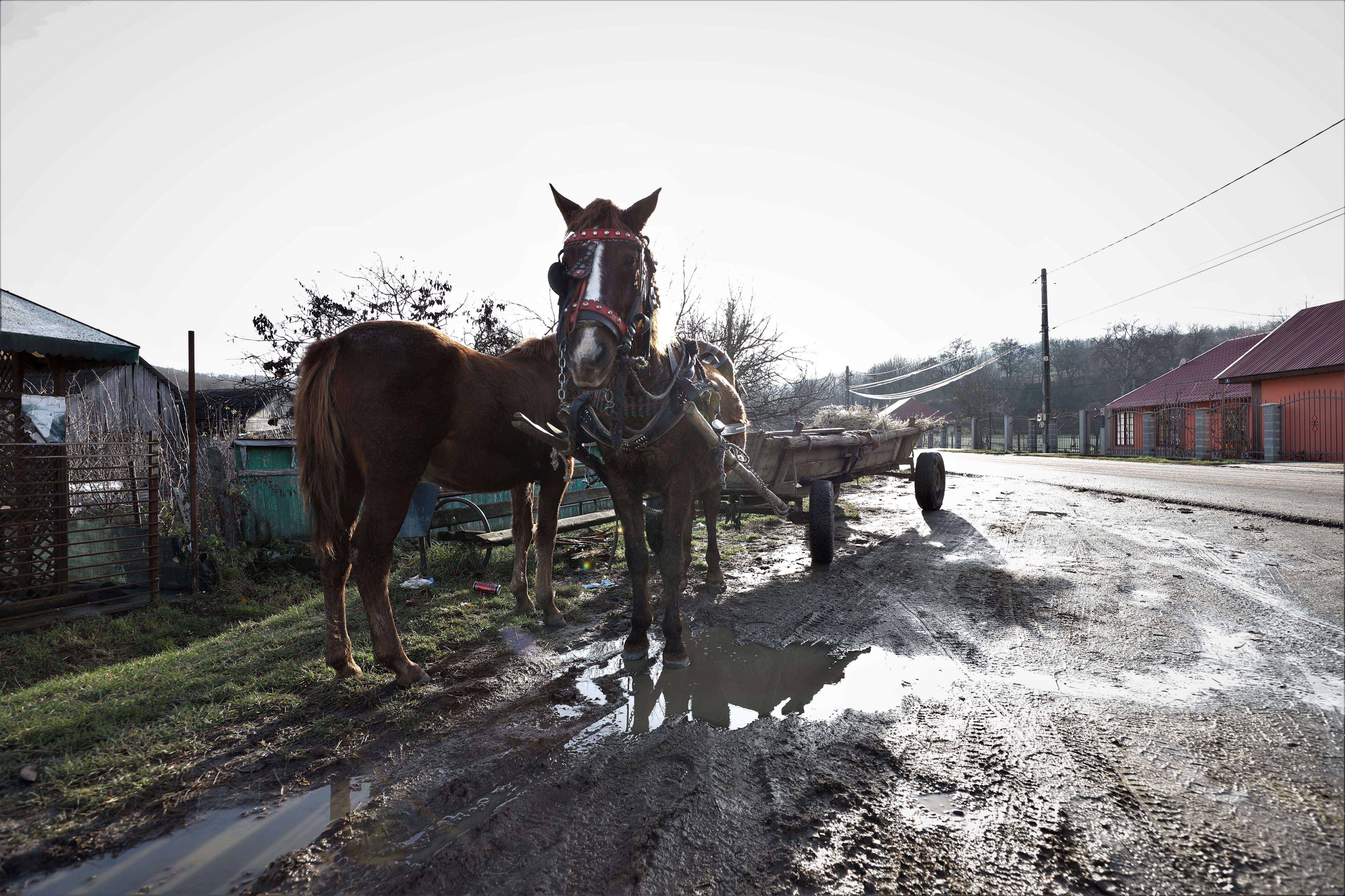 REPORTAJ. Cum s-a trezit un gospodar din judeţul Bacău cu trei ruşi în curtea casei: „Am scris cu dalta pe cruce Eroi Necunoscuţi”