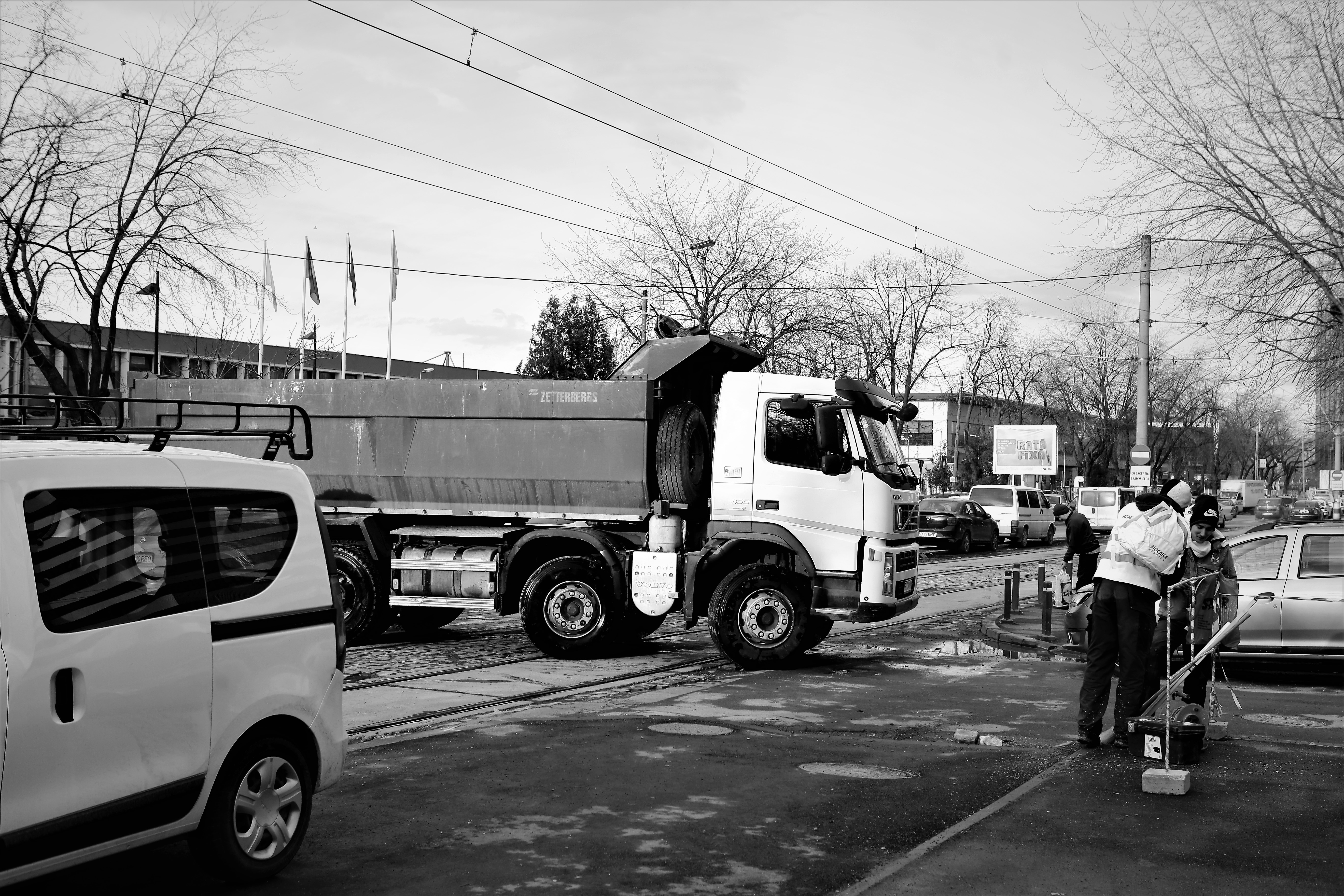 FOTOREPORTAJ | #salvatipipera, între ALB și NEGRU