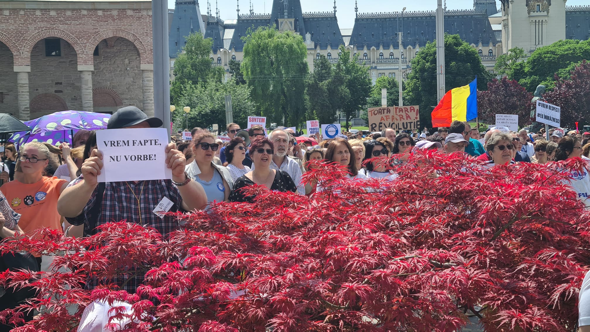 Grevă în Învățământ. Calendarul examenelor finale rămâne neschimbat, anunță Ligia Deca