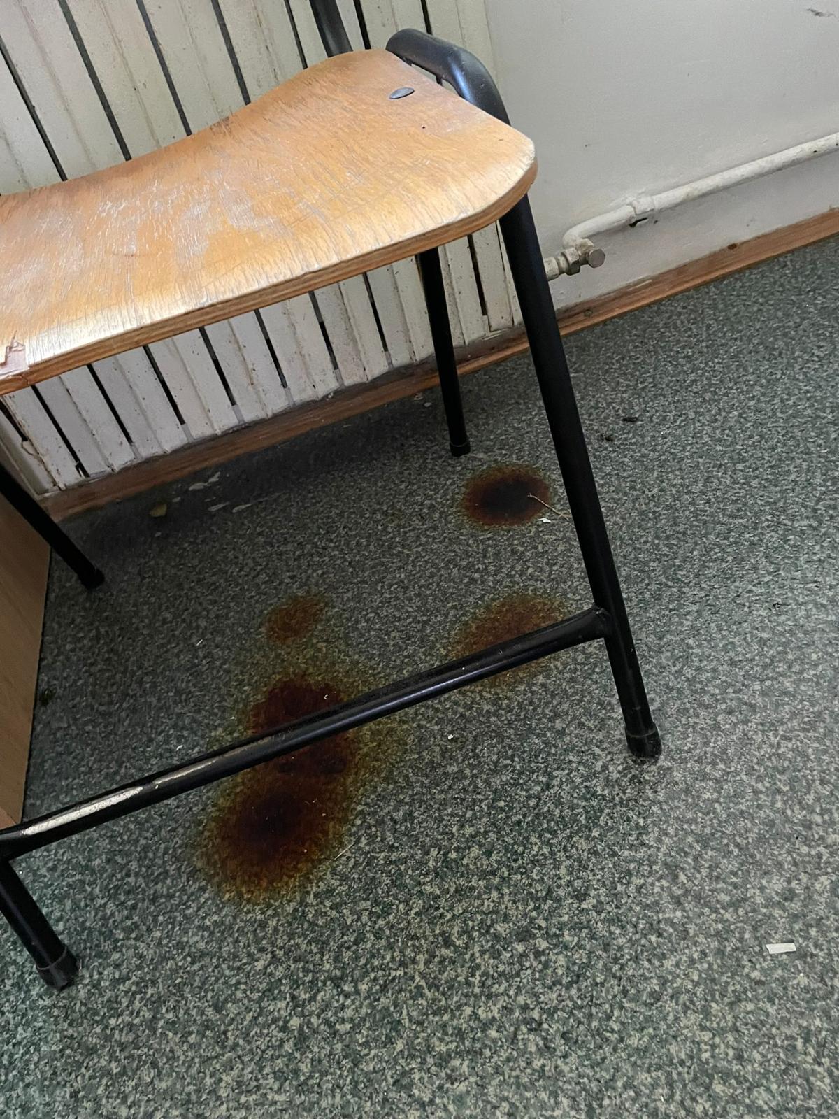 Cămin murdar, cu saltele pătate și gândaci pentru liceenii veniți în tabăra de vară a Universității din București. „Tu ai sta aici?”