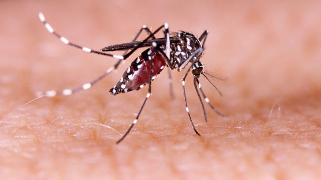 Ghana Health Service records over 100 cases of Dengue fever in 6 regions