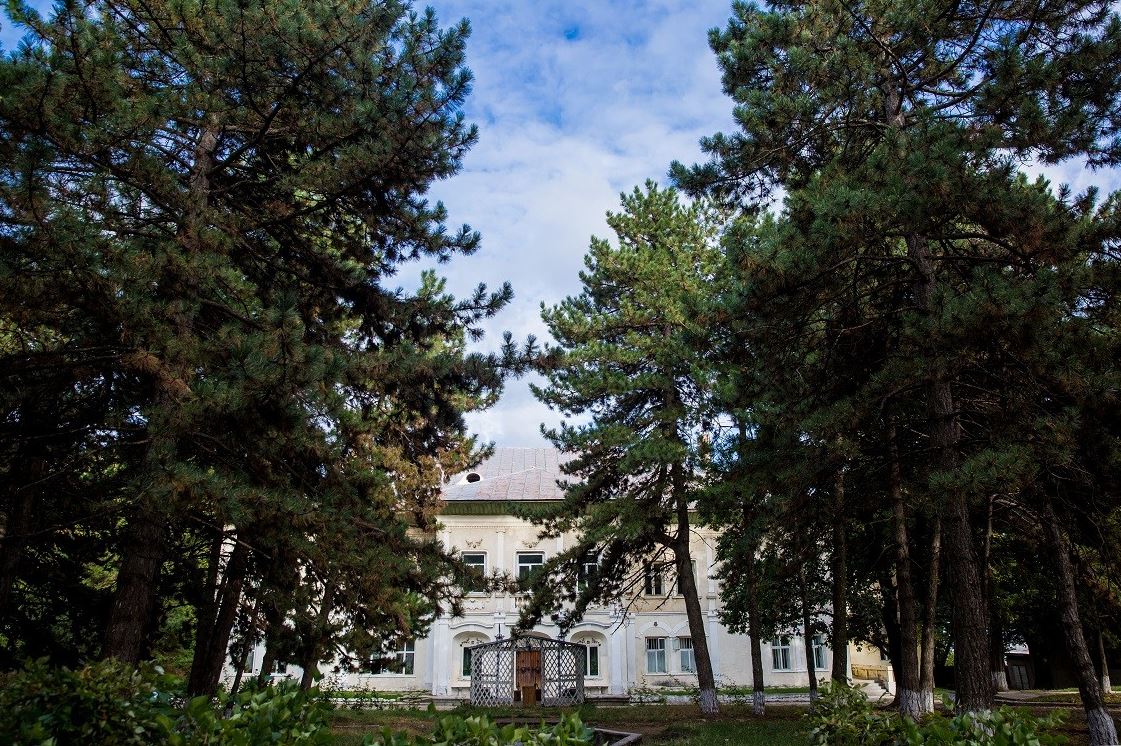Castelul Cantacuzino-Ghica Deleni din județul Iași este scos la vânzare. Cât costă monumentul istoric impresionant / FOTO