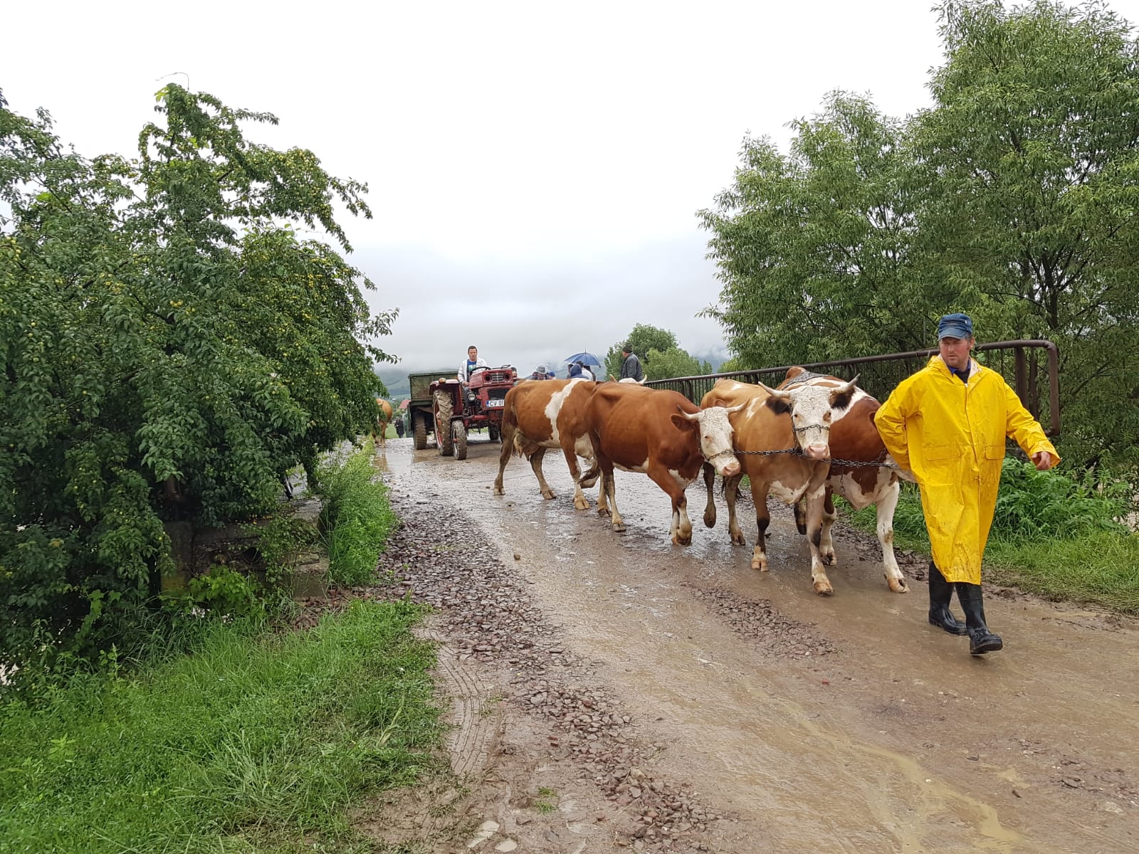 Breşă în digul râului Tărlung din județul Covasna. Peste 100 de oameni, evacuați de pompieri / FOTO&VIDEO