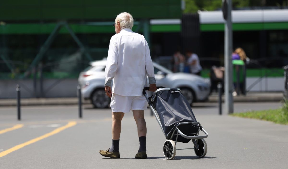 Castraveții românești sunt mai ieftini la supermarket decât la piață. Legumicultorii lasă marfa pe câmp, neculeasă, din cauza prețurilor prea mici