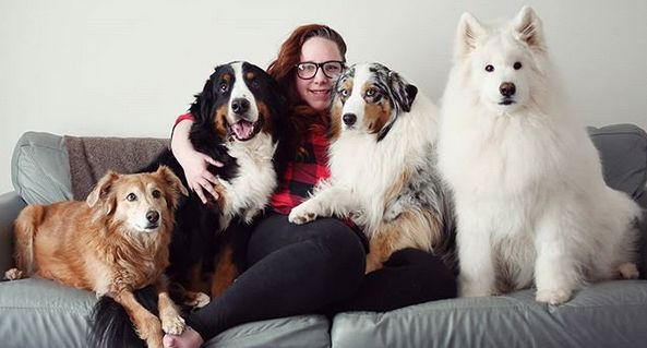 Vedetele Instagramului în carantină. Patru câini din Canada pozează pentru stăpânii lor și adună fani cu zecile de mii