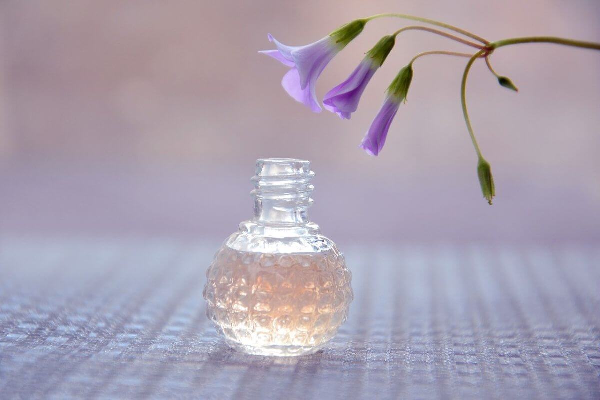 Cum îți faci singură un parfum și alte cosmetice. Doar cu ingrediente naturale