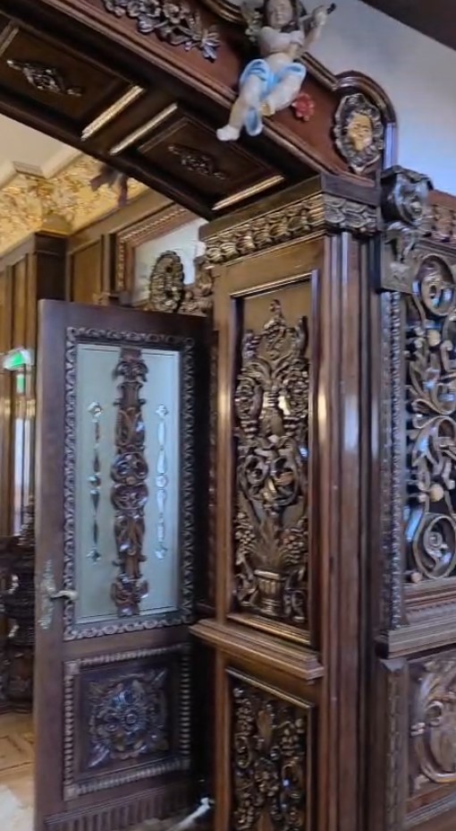 Cum arată în interior palatul lui Gradu Cârpaci, acuzat în Germania că a forțat un român să îi doneze un rinichi. A copiat interioare și picturi de la Castelul Peleș
