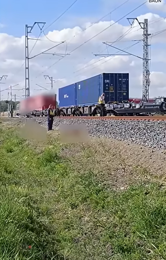 Juhra futott egy tehervonat Kiskunhalasnál, megbénult a közlekedés - videó