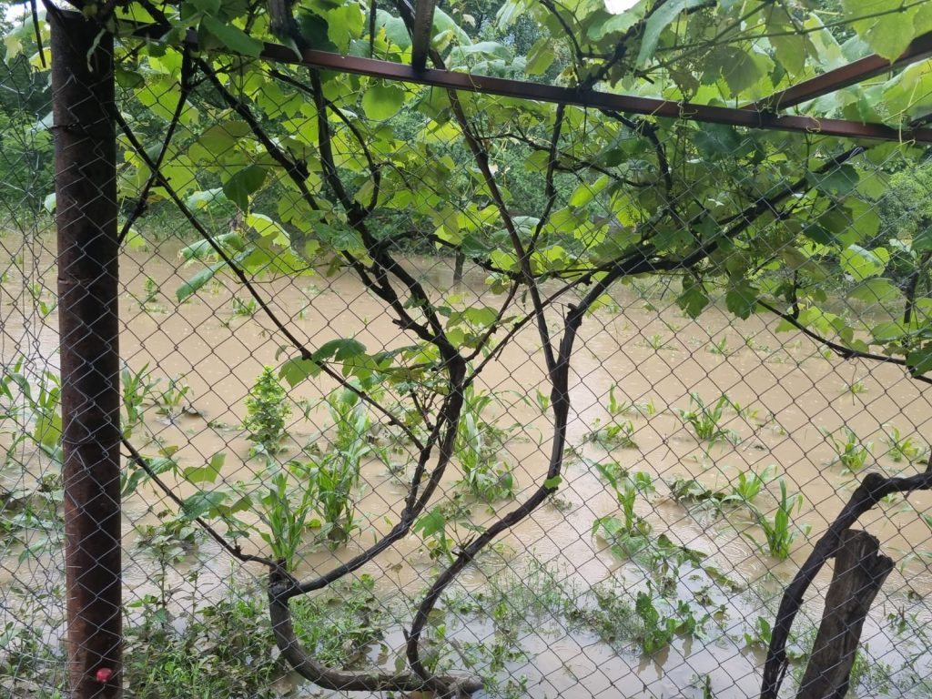 Potop în mai multe localități din Gorj, după codul roșu de ploi. Mai multe gospodării au fost inundate. FOTO