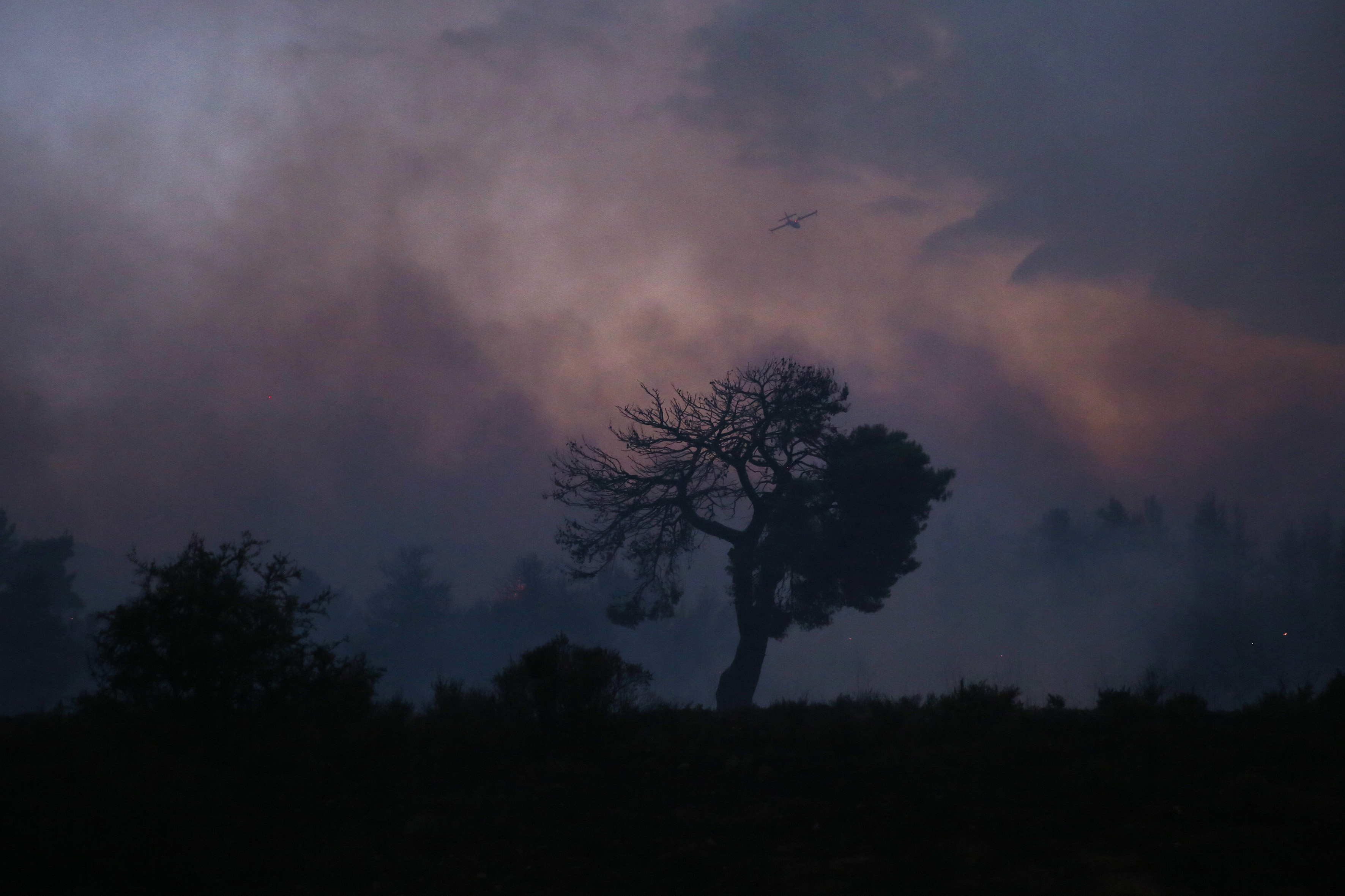 FOTO | Incendii în apropiere de Atena. Mai multe case au fost mistuite de flăcări