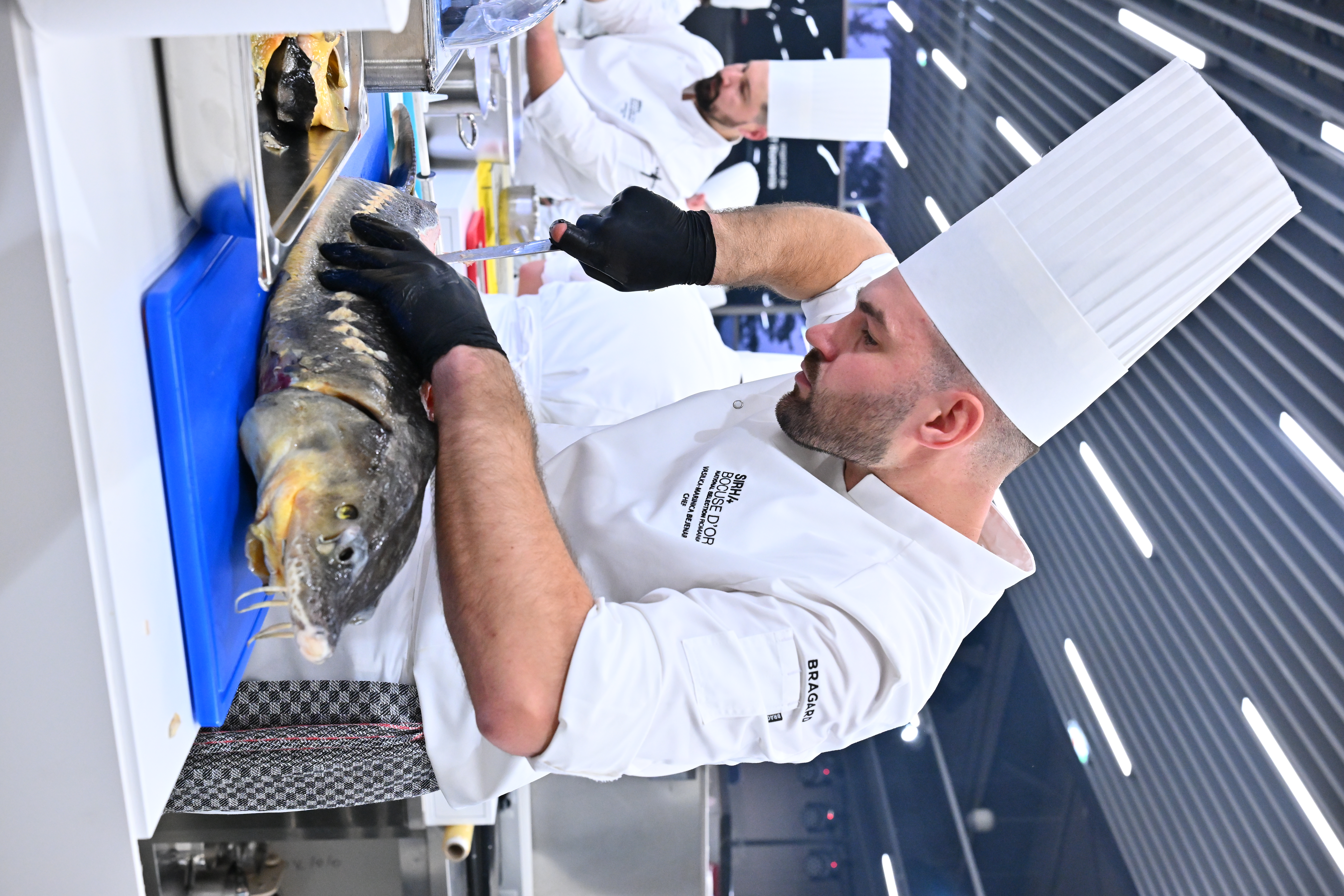 Cum au ajuns românii printre cei mai buni bucătari din Europa. Preparatele care i-au dus pe chefii din țara noastră la „Cupa Mondială a Gastronomiei”