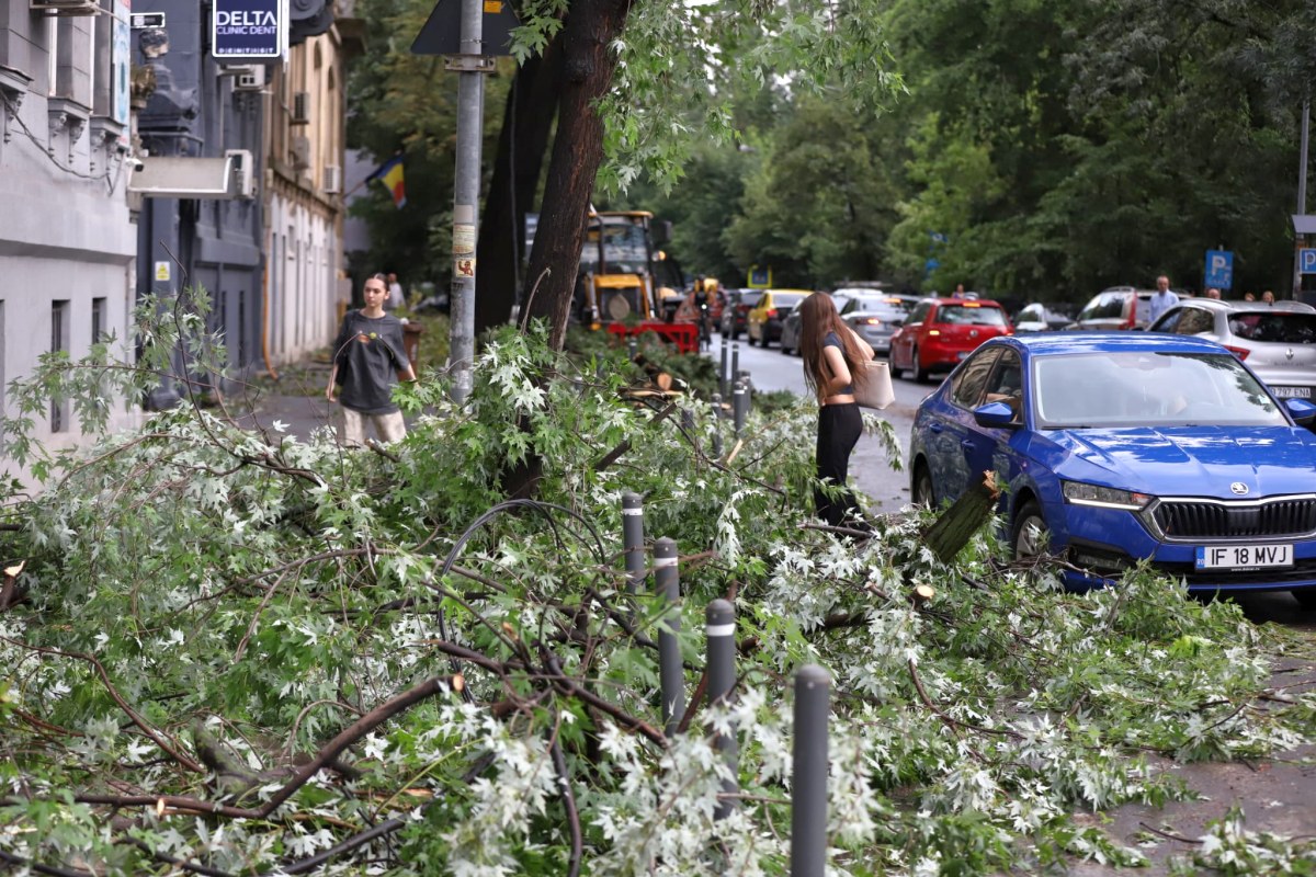Lista liniilor de tramvaie, autobuze și troleibuze din București afectate de furtună, publicată de STB