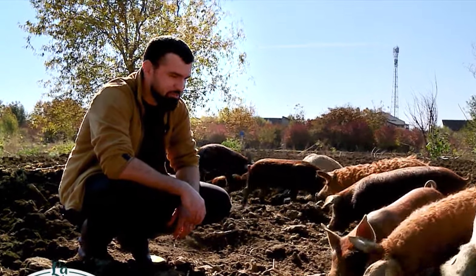 Imagini cu ferma de păsări și porci a tenorului Vlad Miriță. De la el cumpără carne Marcel Pavel, dar și Monica Anghel
