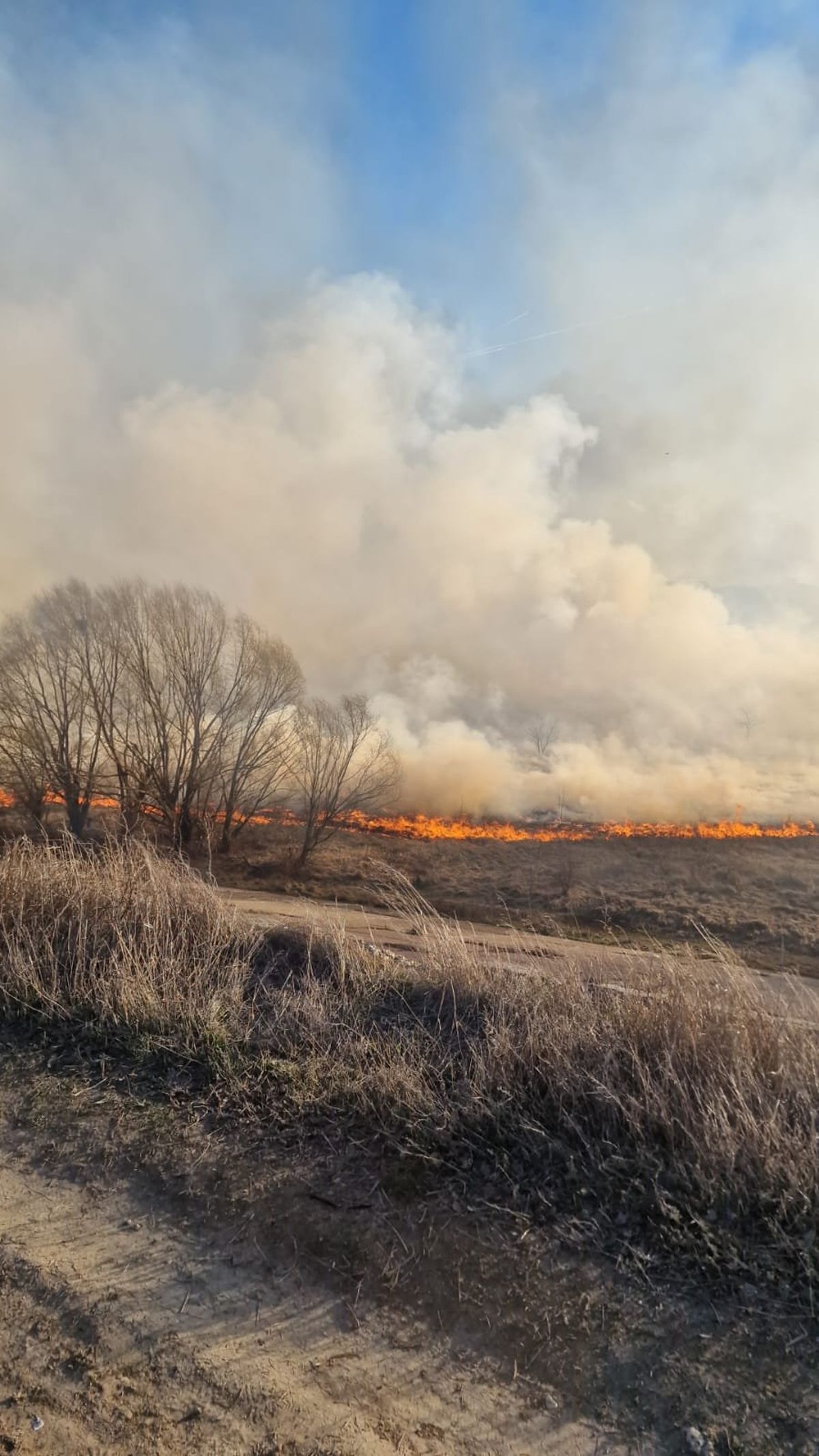 Incendiu de proporții în Delta Văcărești. A fost transmis mesaj RO-Alert