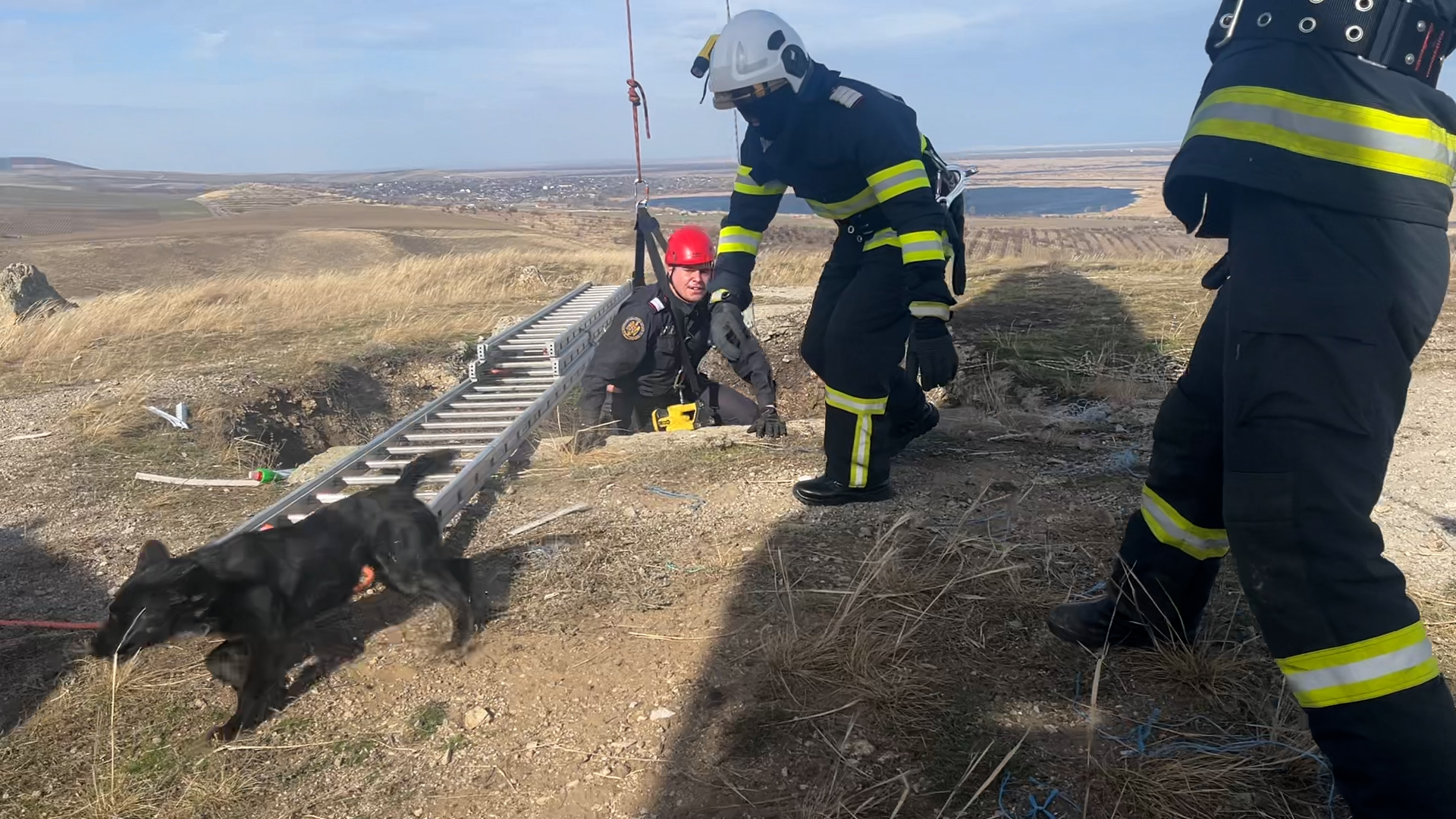 Un câine căzut într-o groapă de 30 de metri a fost salvat după trei zile de pompierii din Tulcea. VIDEO