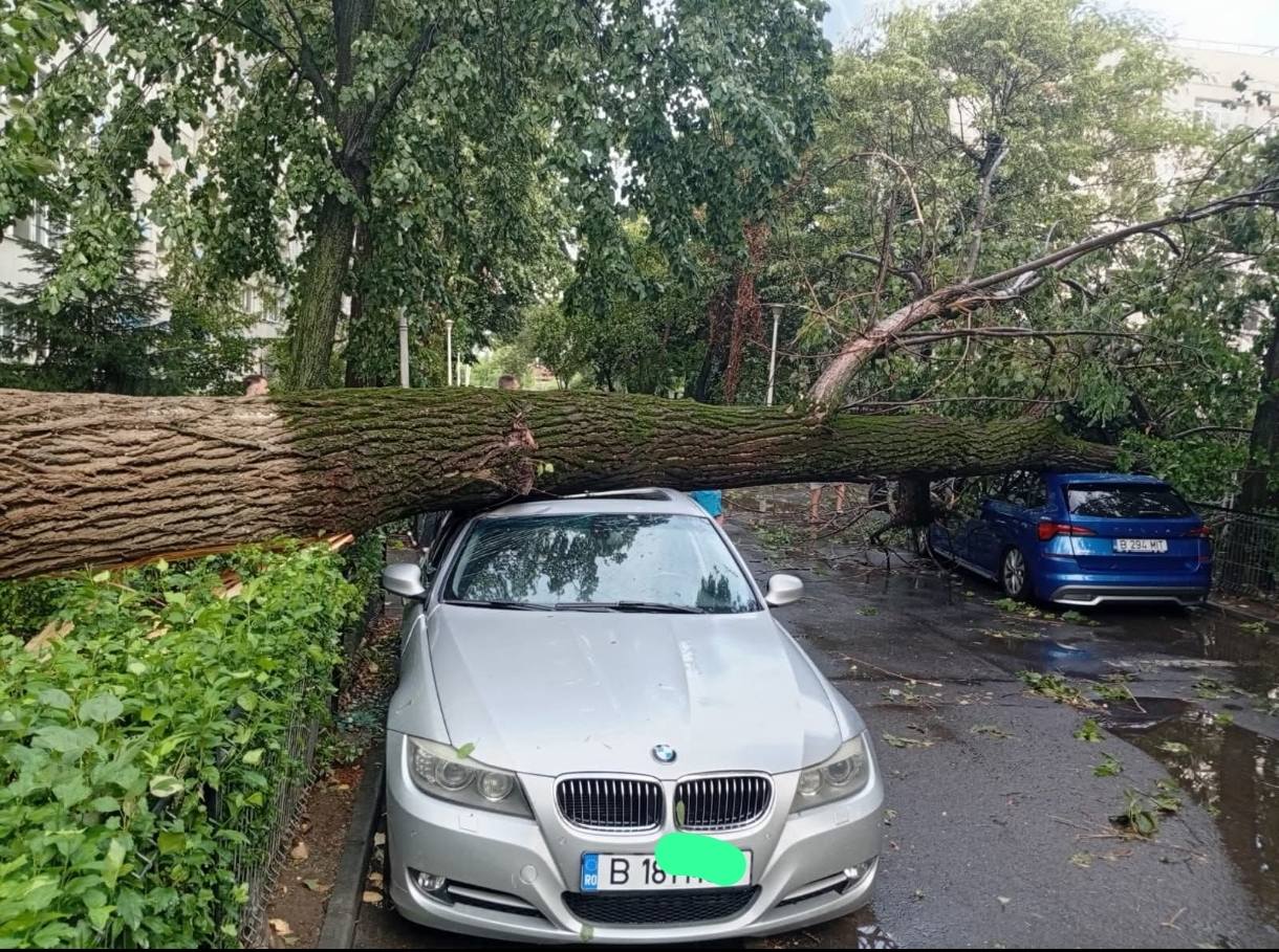 Urmările vijeliei care a făcut prăpăd în București și pe autostrada A1: o femeie a murit în Otopeni, mașini distruse de copaci, trafic îngreunat pe A1