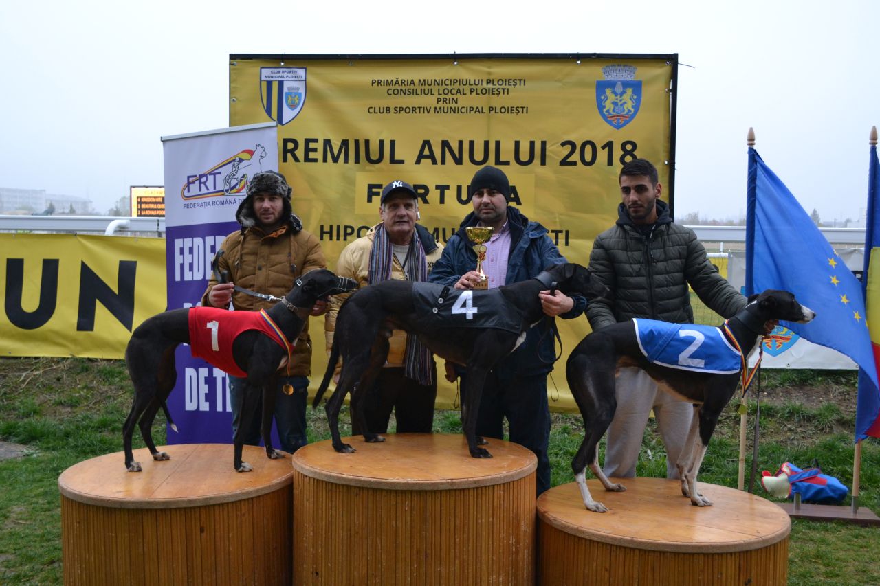 Premiere la hipodromul din Ploiești: curse de ogari demonstrative și pariuri oficiale pe curse de cai! / FOTO