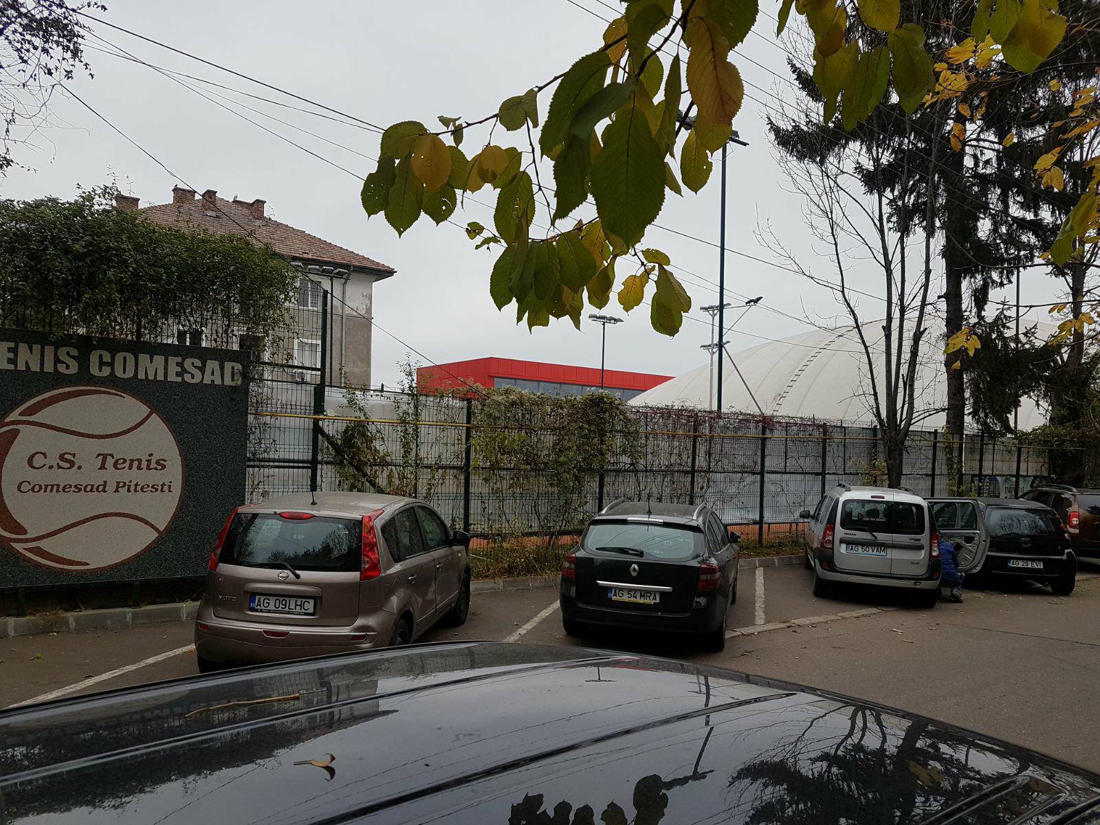 Prima reacție a iubitului Simonei Halep. Libertatea l-a găsit pe Radu Barbu / VIDEO