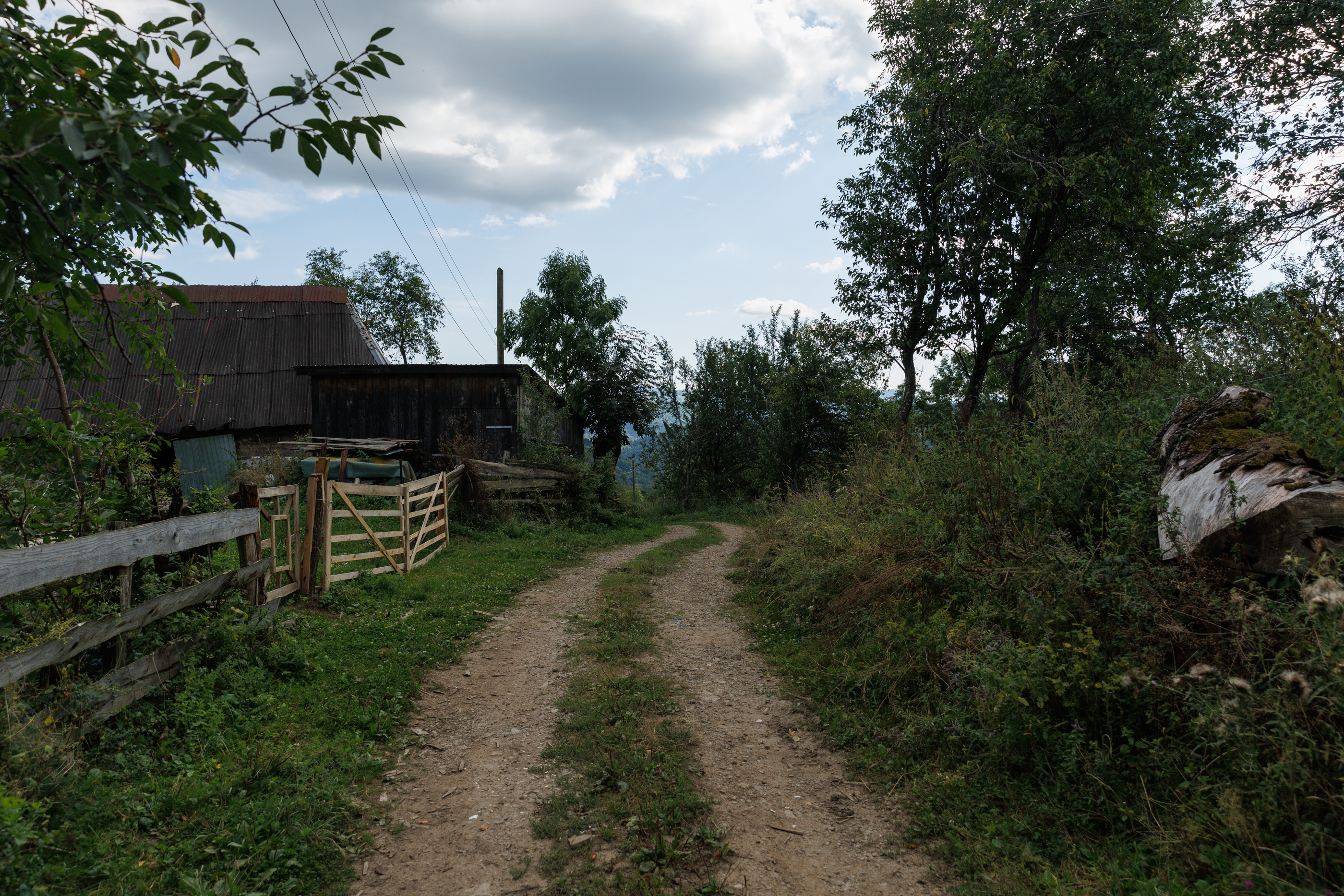 „Cei rămași”. Viața ultimilor muntăreni din Munții Apuseni. Cum arată școala din junglă