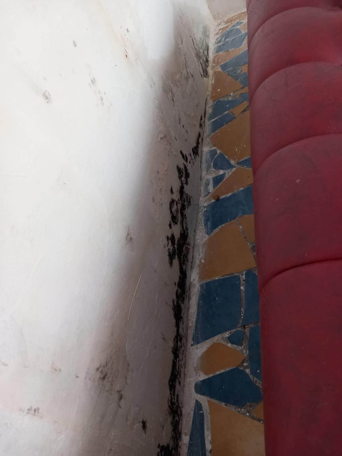 Camere cu mucegai, piscine periculoase și mâncare expirată. Comisarii ANPC au dat amenzi uriașe pe litoral în plin sezon estival