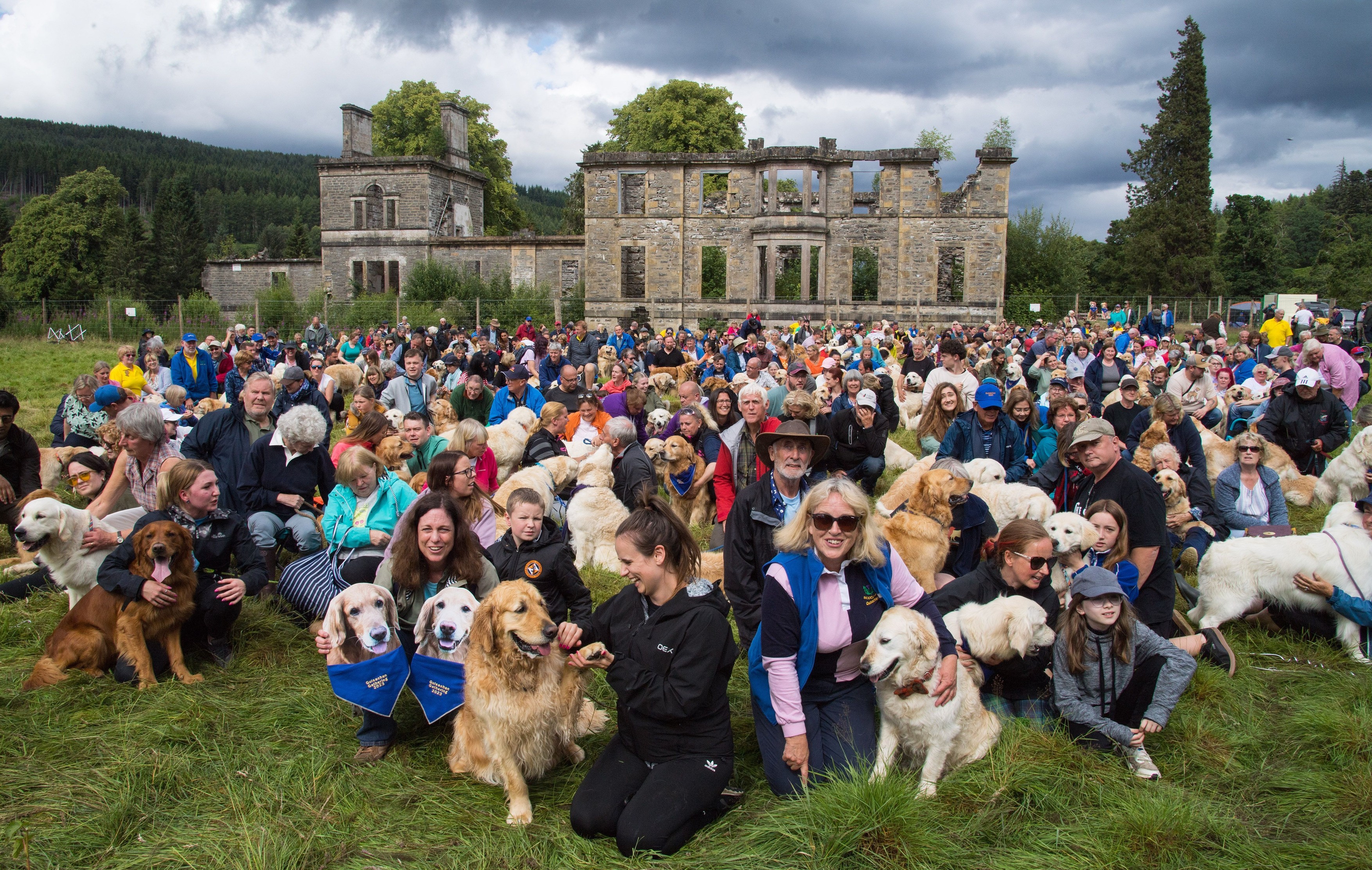 488 de câini Golden Retriever s-au întâlnit în Scoția. Au fost aduși din 12 țări pentru un eveniment special