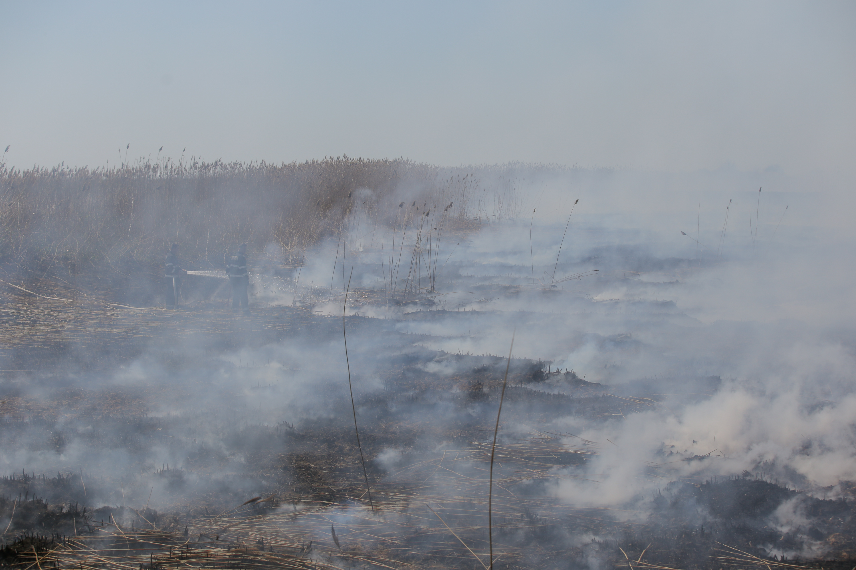 Incendiul care a poluat miercuri Bucureștiul. Cum a ajuns fosta fermă de porci din Periș, care a avut legături cu Liviu Dragnea, un dezastru ecologic