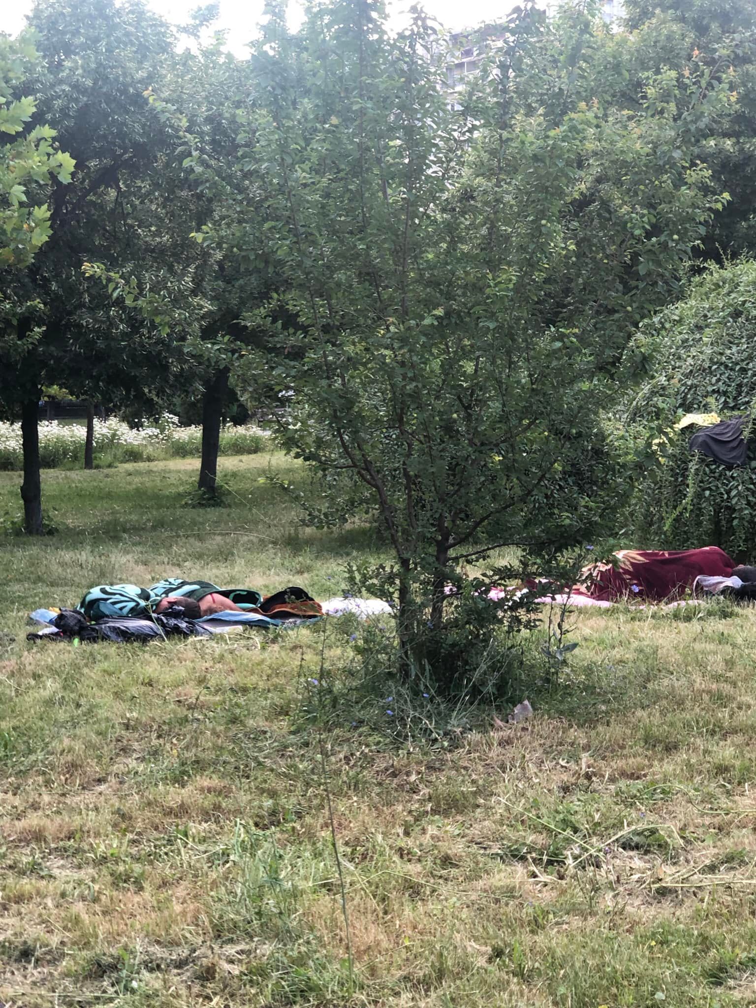 Concesionarea Parcului Izvor, între „festivalizarea orașului” și „nu-l distrugem, îl facem mai frumos”
