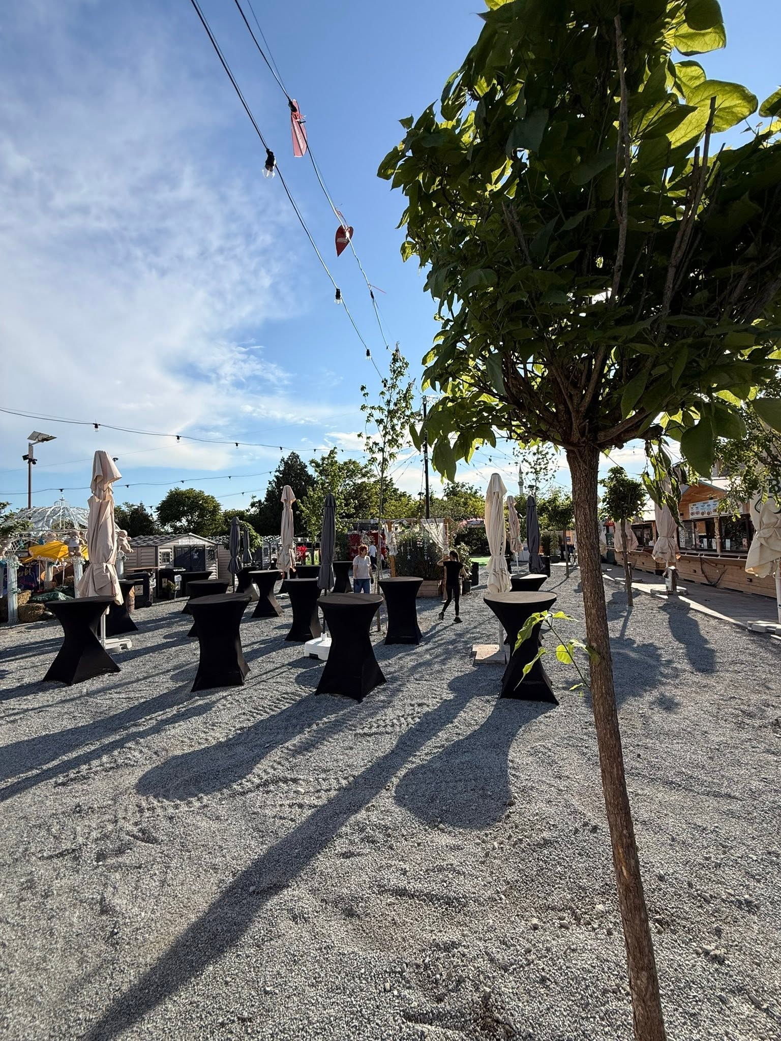 „Universul” apărut în Lazu, lângă Constanța. E creat de Răzvan Botezatu: „Am un «land» întreg”
