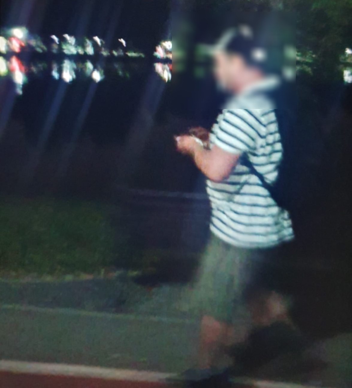 Bărbat arestat preventiv după ce a dat foc la vegetație în Parcul IOR din București. A fost dat de gol de camerele video