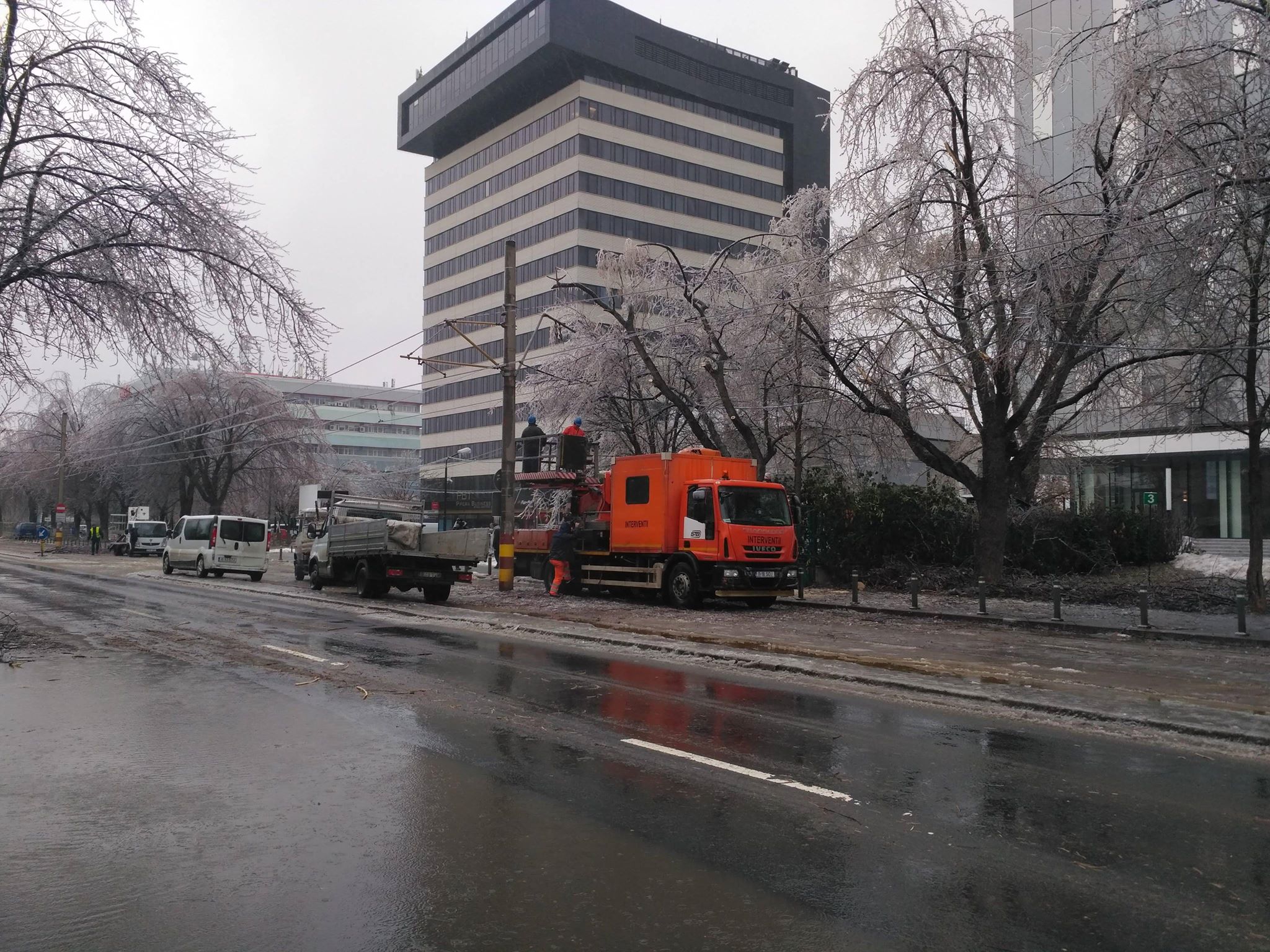 FOTO | Vremea face ravagii: Zeci de copaci doborâţi de vânt și gheață în Bucureşti și 49 de maşini avariate, în ultimele ore. Circulaţia pe anumite linii a tramvaielor şi a troleibuzelor, blocată