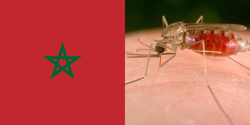 Malaria in Morocco [Worldlifeexpectancy]