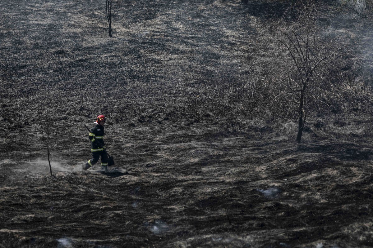 Incendiul din Delta Văcărești, stins după două ore. Ce suprafață a fost afectată