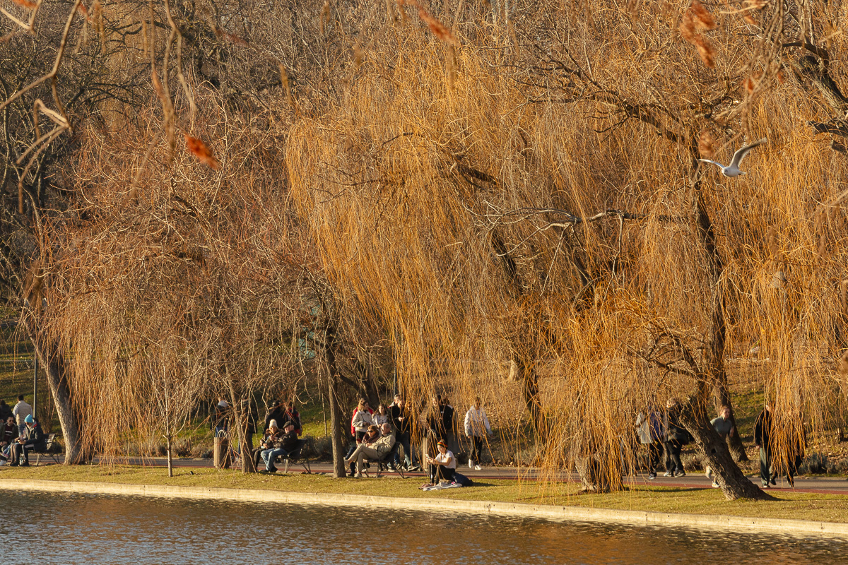 FOTOREPORTAJ Primăvara de pe 1 ianuarie a scos bucureștenii în parc. „Nu am prea realizat că sunt Sărbătorile de iarnă”