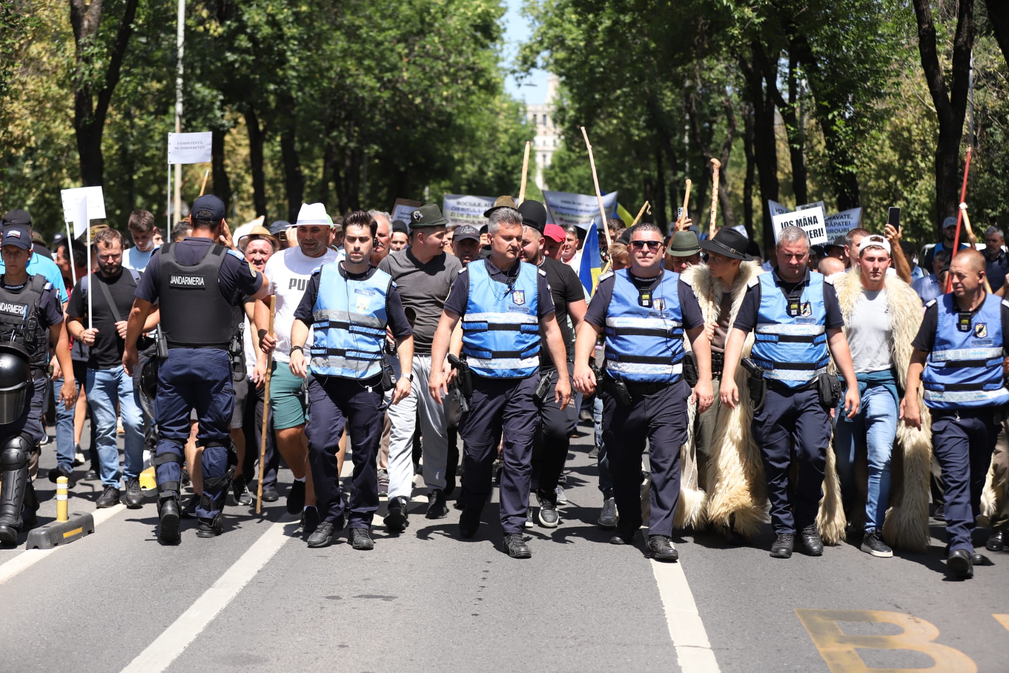 Violențe la protestul fermierilor, în fața sediului ANSVSA. Ce s-a stabilit la discuțiile cu Guvernul. Tanczos Barna anunță că se vor lua măsuri în privința conducerii ANSVSA
