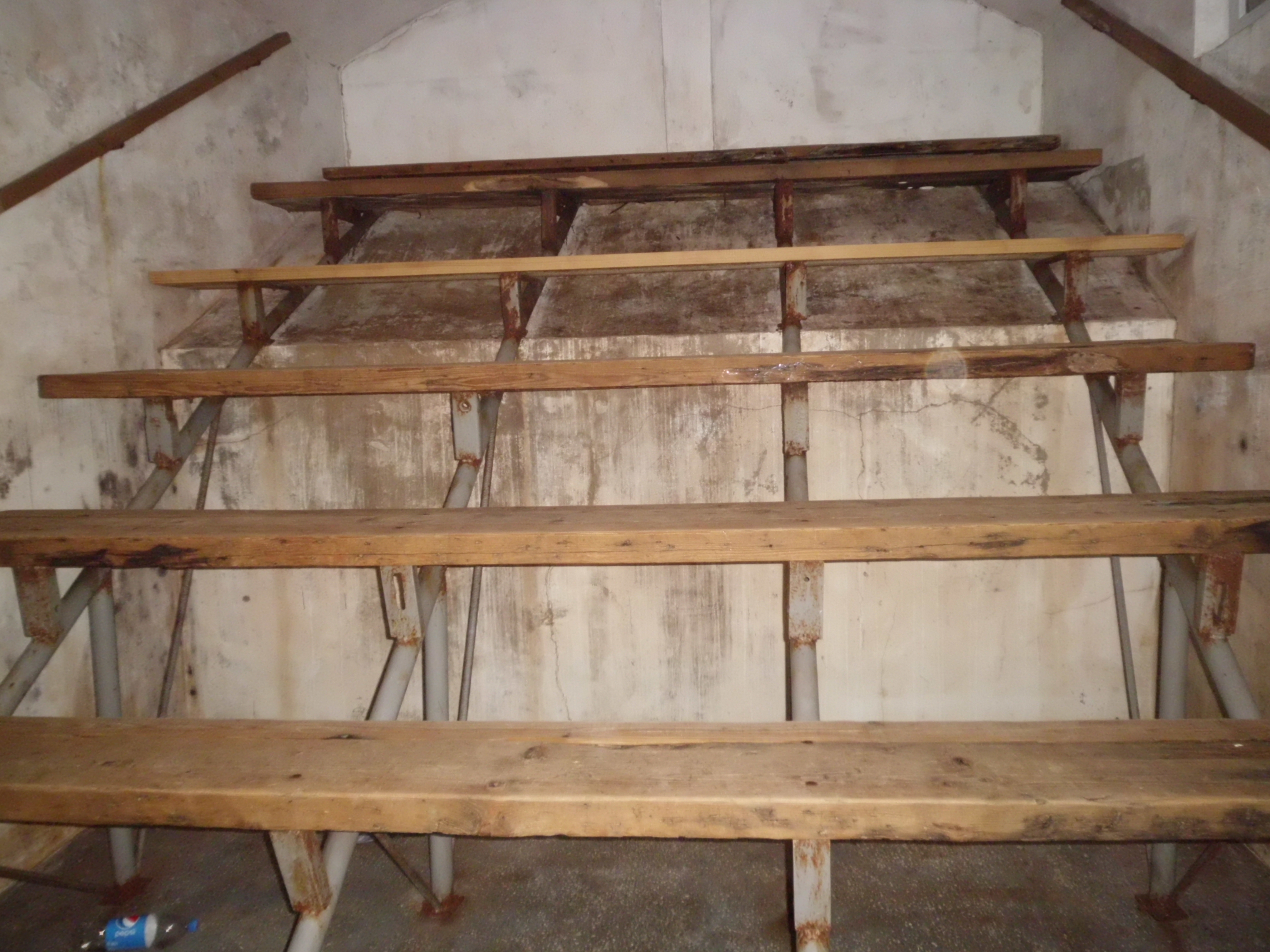 A ridicat cu propriile mâini o afacere unică în Botoșani! GALERIE FOTO
