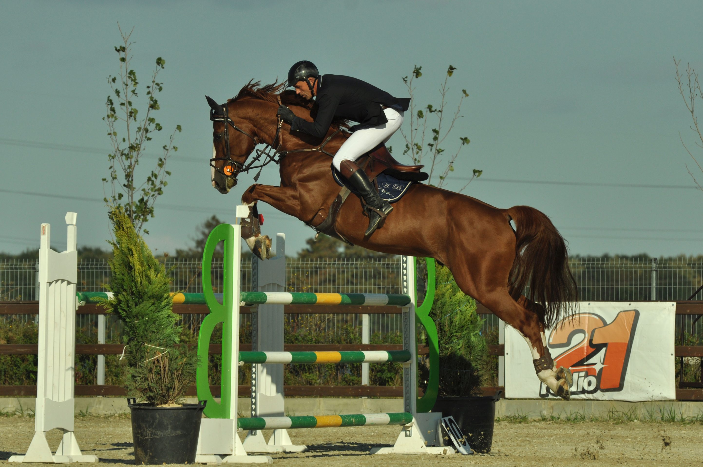 GALERIE FOTO / Performanţa sportivă şi frumuseţea echitaţiei,  în primul week-end de la Salonul Calului