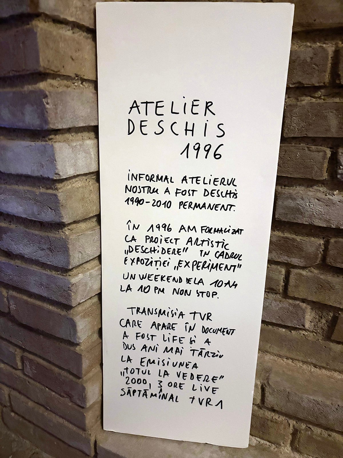 „Absolut toate revoltele noastre de-o viață împotriva lui Ceaușescu și a tuturor micilor dictatori «care ne călăresc »”. Reportaj despre Lia și Dan Perjovschi