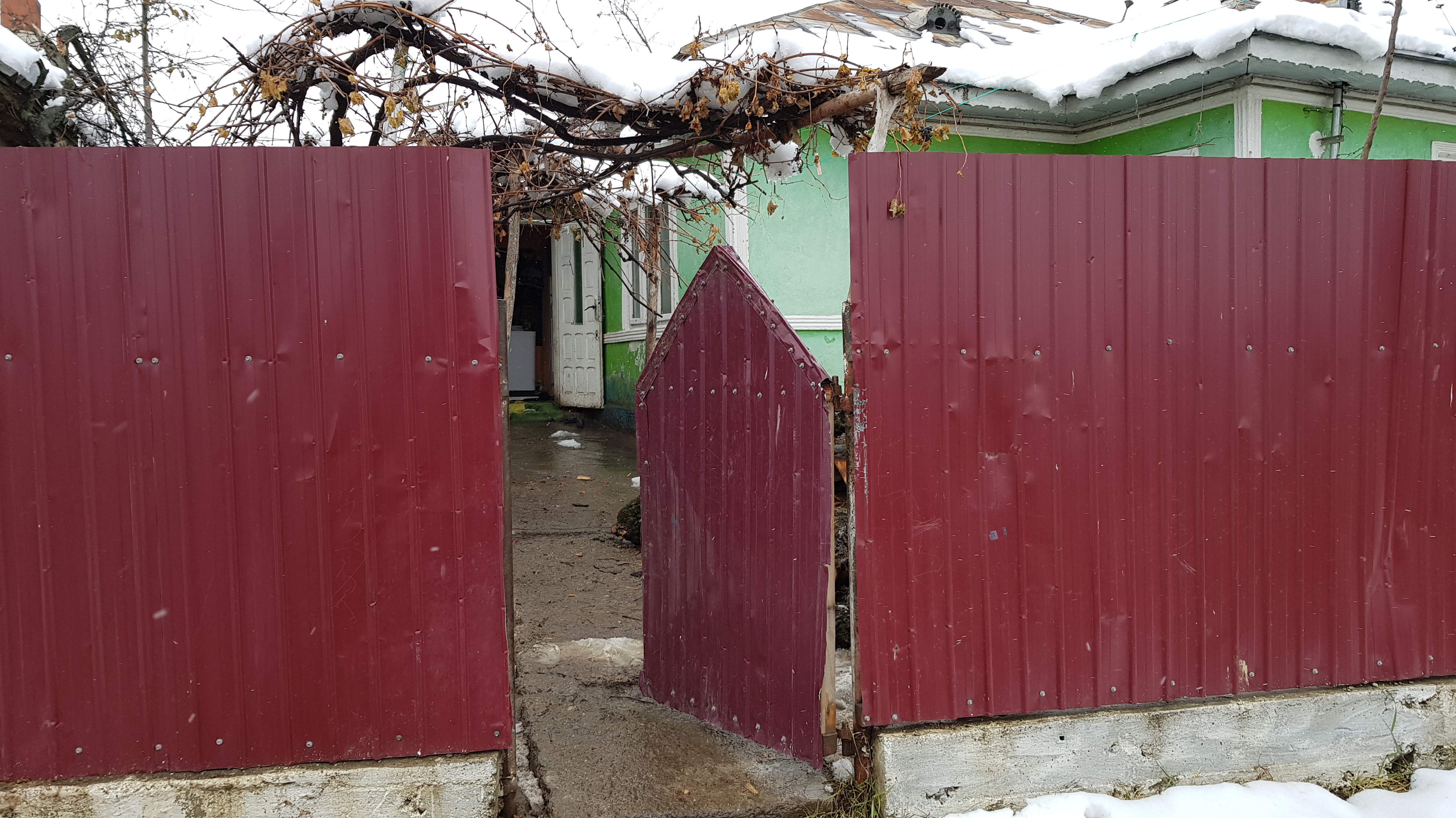 REPORTAJ/ Povestea din spatele unei fotografii virale: doi copii în picioarele goale pe stradă, în prag de iarnă. Zece suflete înghesuite într-o căsuță și lecția de demnitate cu care-și înfruntă soarta