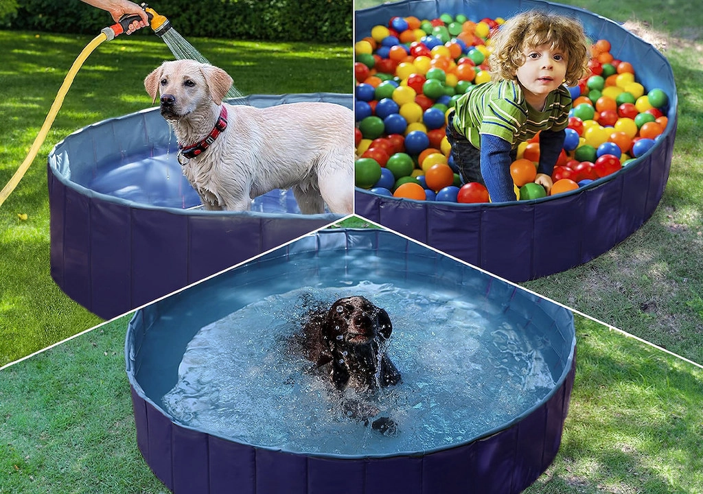 Cele mai bune piscine pentru câini: cât costă, ce modele există și cum alegi varianta potrivită