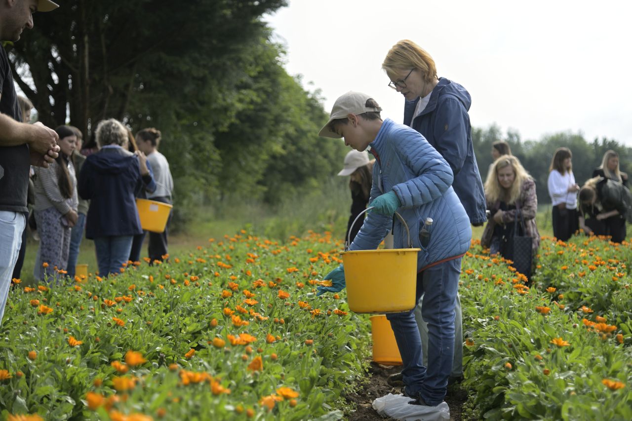Cum se fabrică celebrele produse Weleda! Am vizitat grădina de plante medicinale din Germania, un paradis de 23 de hectare