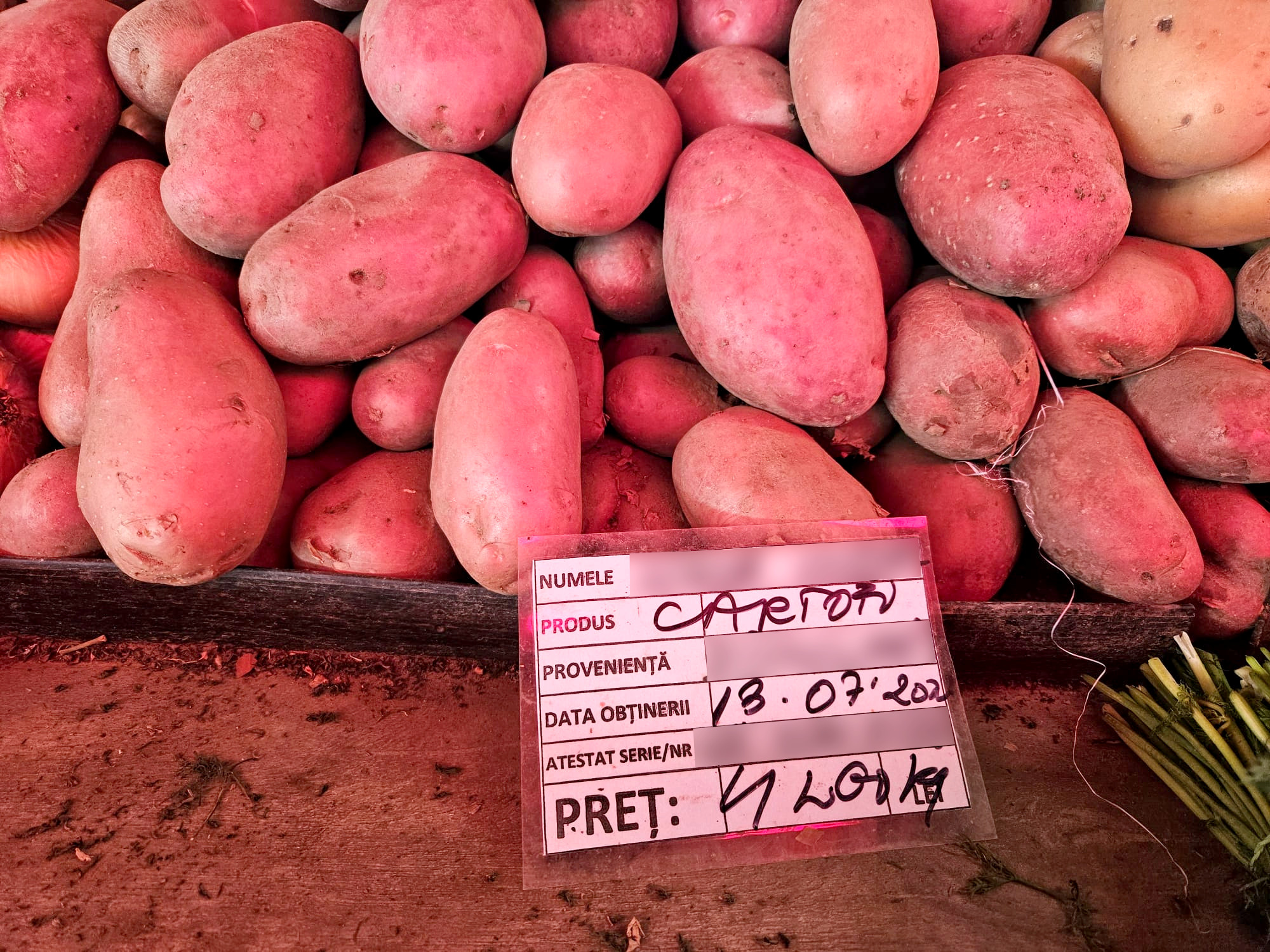 Experiment Libertatea. Cum sunt preţurile la alimente în Bulgaria faţă de România, în pieţe şi la hipermarket. Marile surprize de la raft