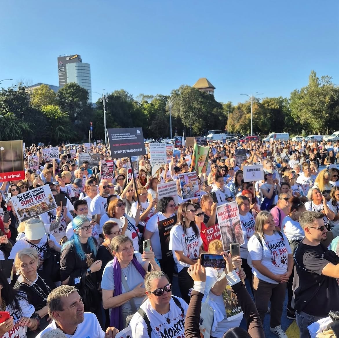 Raluca Bădulescu, prezentă la protestul pentru drepturile animalelor