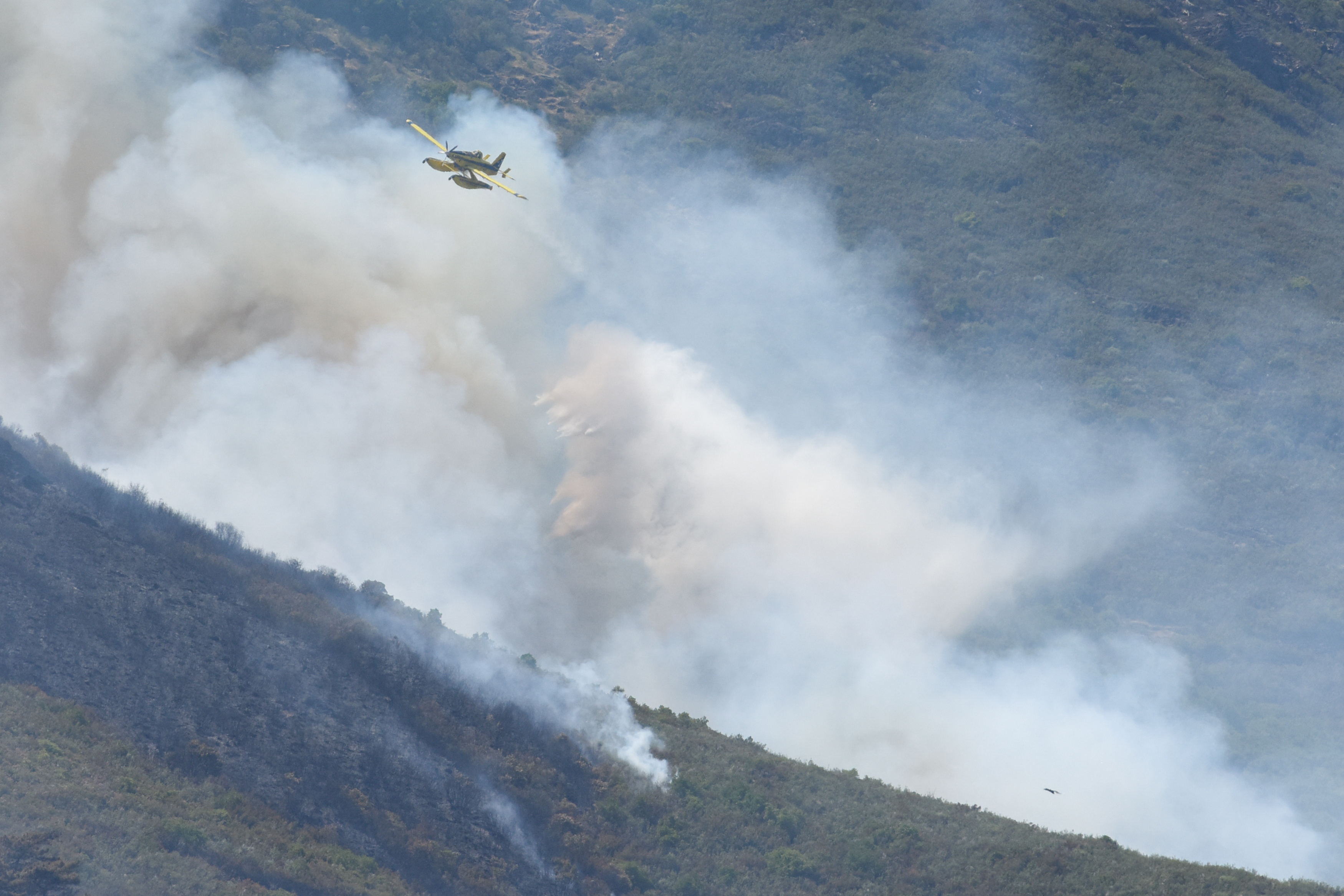 Incendiu uriaș de vegetație în vestul Spaniei. Peste 700 de săteni evacuați și mii de hectare distruse