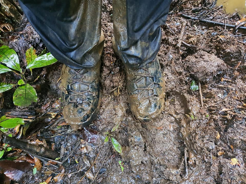 3.000 de kilometri prin deșert, junglă și plaje pustii. Doi români, blocați de pandemie în Noua Zeelandă, au decis să traverseze țara de la un capăt la altul