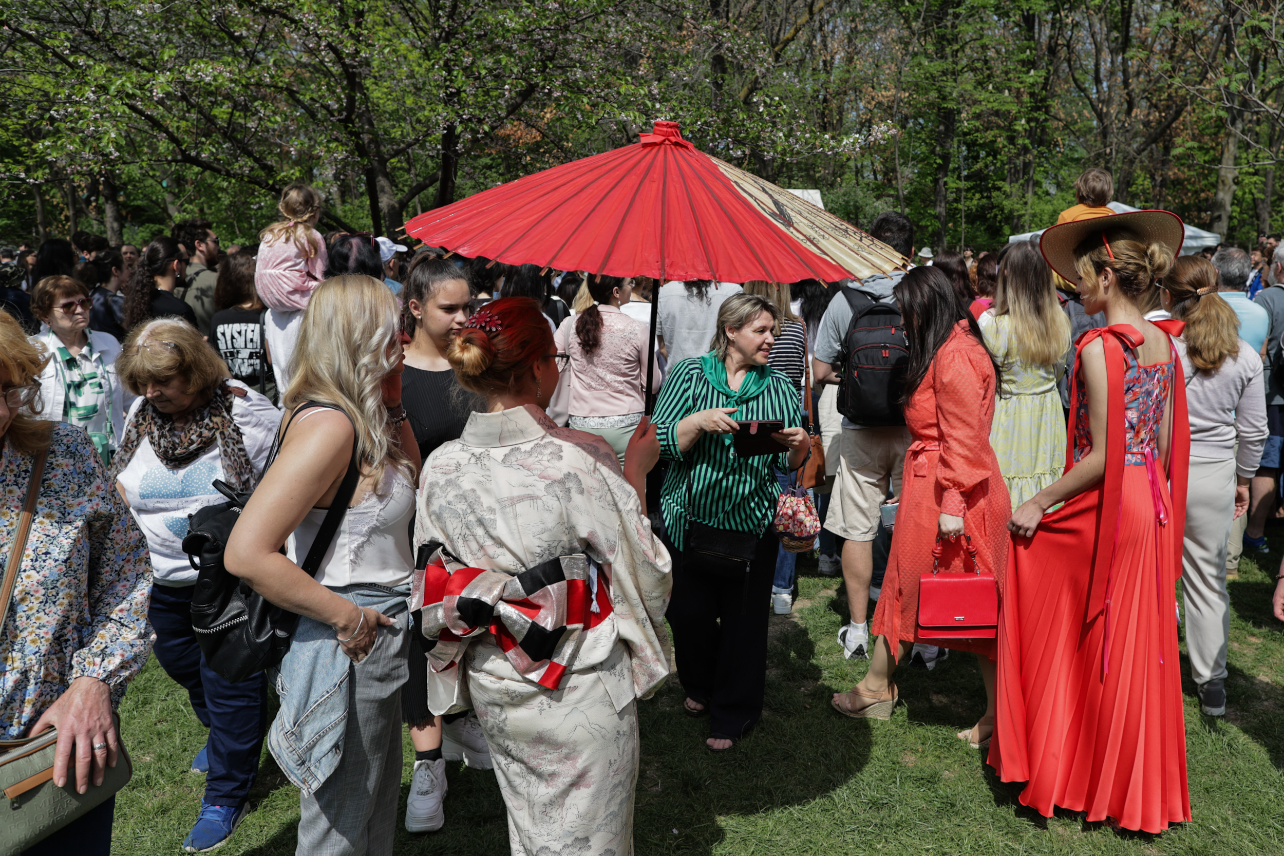 FOTO. Au înflorit cireșii în Grădina Japoneză din Parcul Herăstrău. Sute de persoane au asistat la „Festivalul Florilor de Cireș”