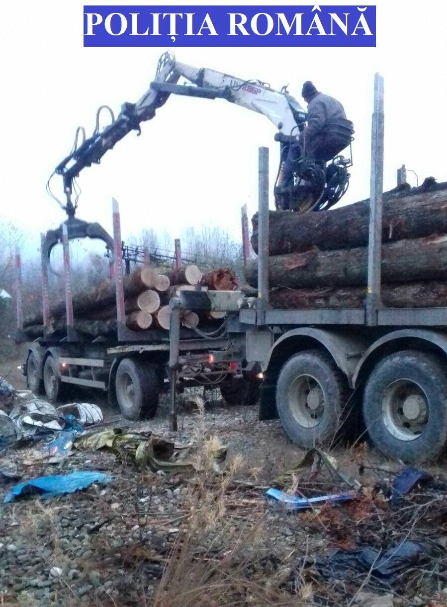 Operațiuni ilegale cu lemn, în județul Caraș-Severin. Polițiștii au confiscat peste 100 de metri cubi de material lemnos