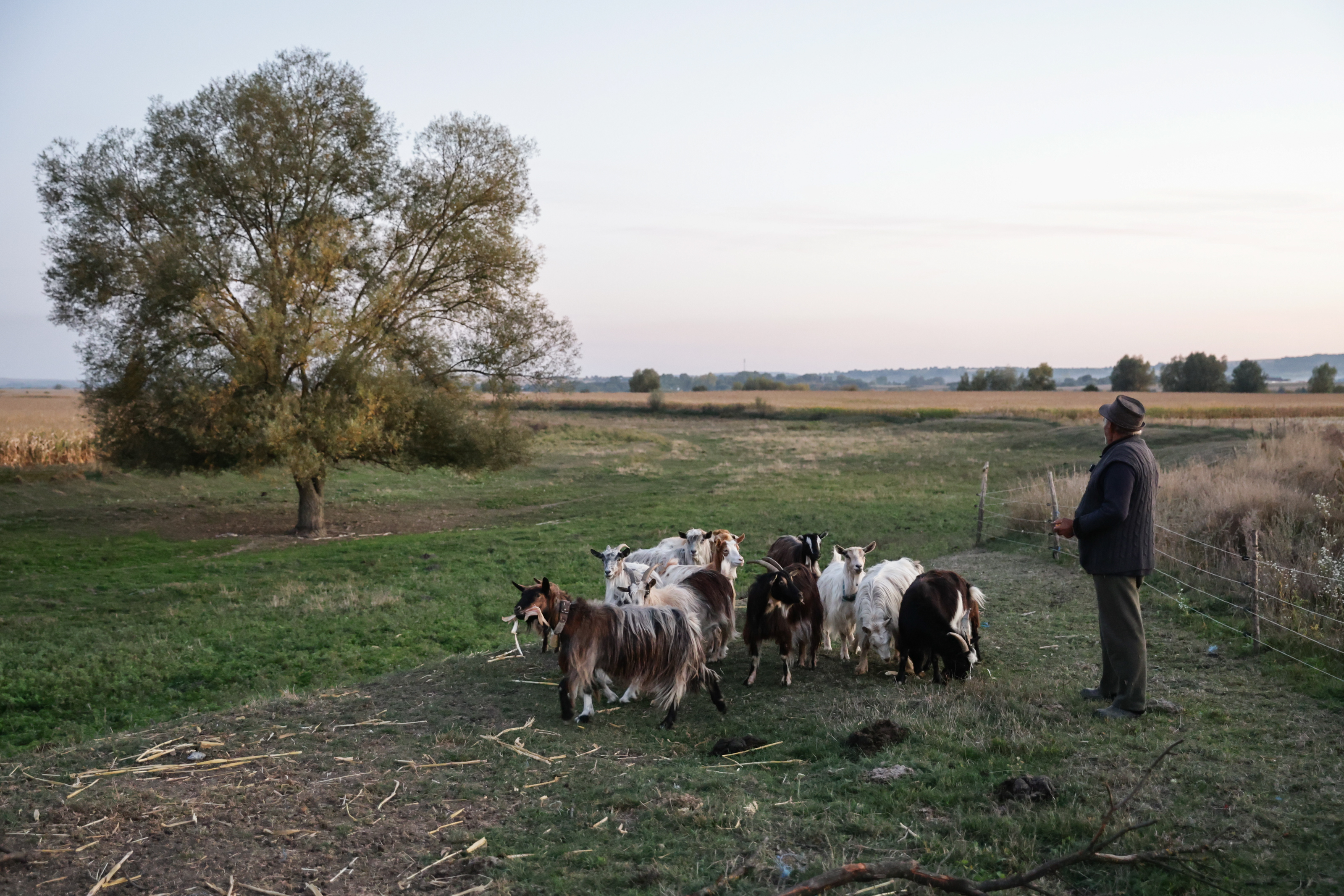 Bătrânul de la marginea lumii. Mesaj pentru politicieni: „Ce mănânci tu, aşa şi ceilalţi. Noi am fost 14 copii, ce-o mâncat tata, ne-o dat şi nouă, nu că el a mâncat carnea, şi noi borşul”