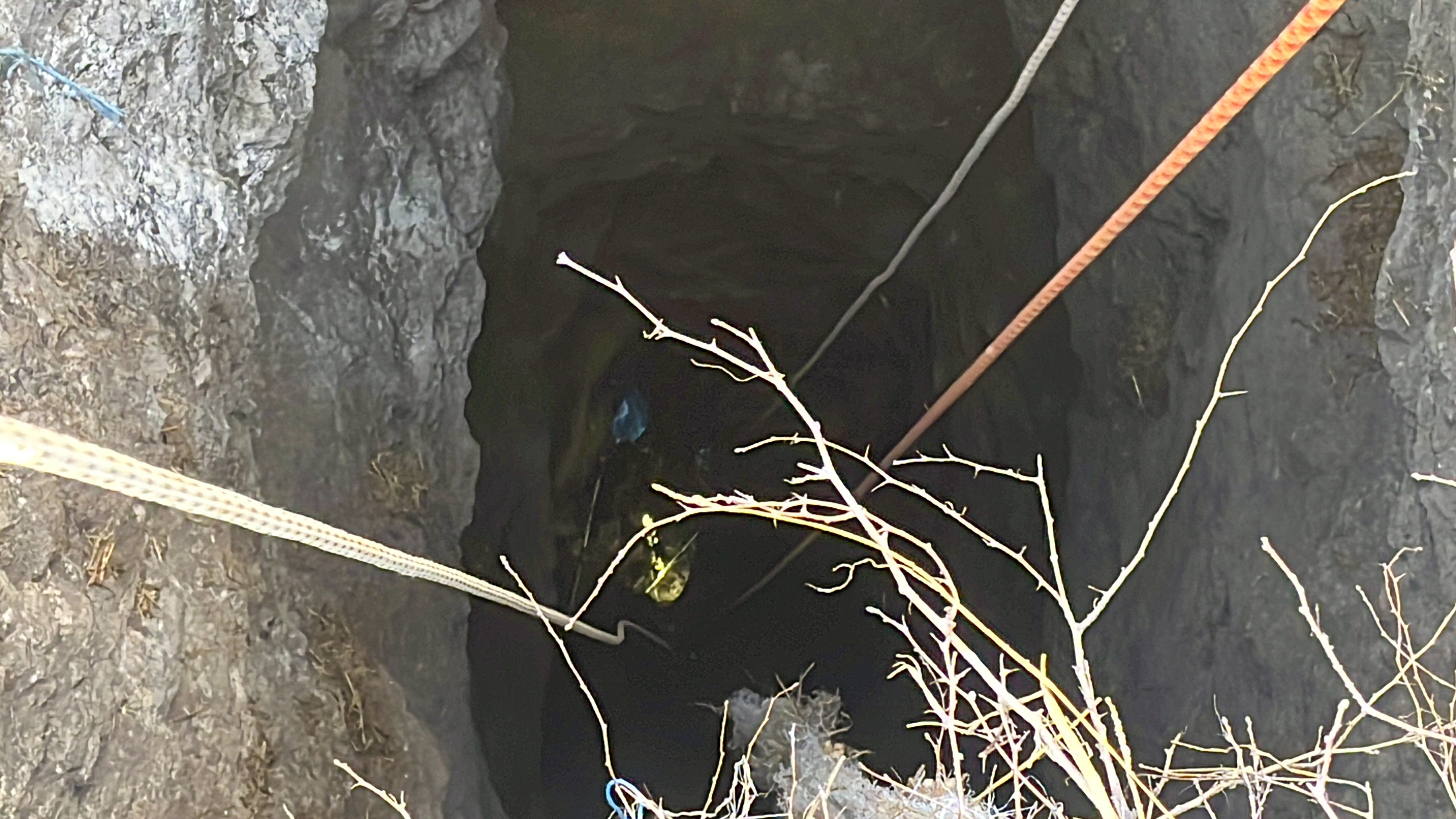 Un câine căzut într-o groapă de 30 de metri a fost salvat după trei zile de pompierii din Tulcea. VIDEO